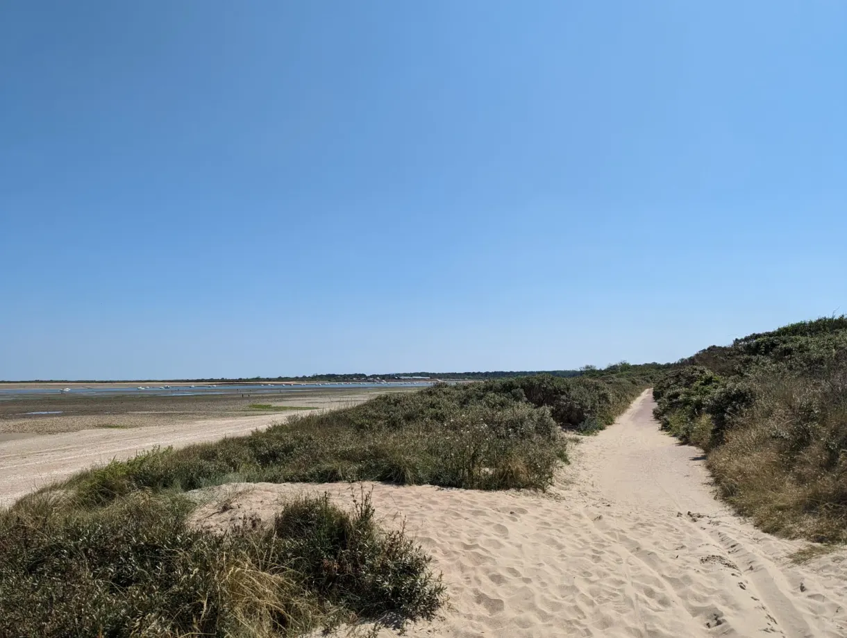 Sentier de sable serpentant dans les dunes vers la plage