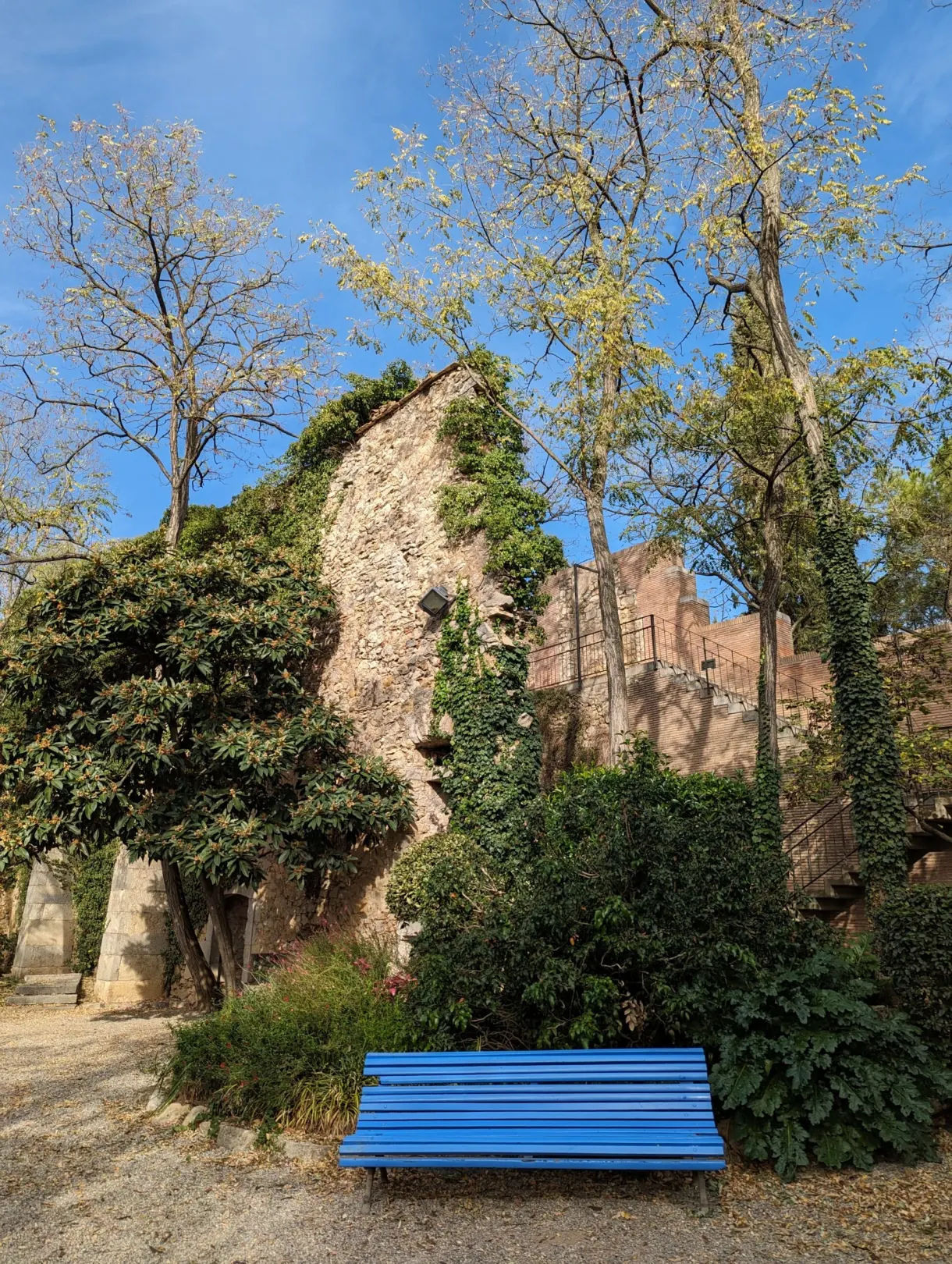 Pan de mur en ruine envahi de lierre et banc bleu