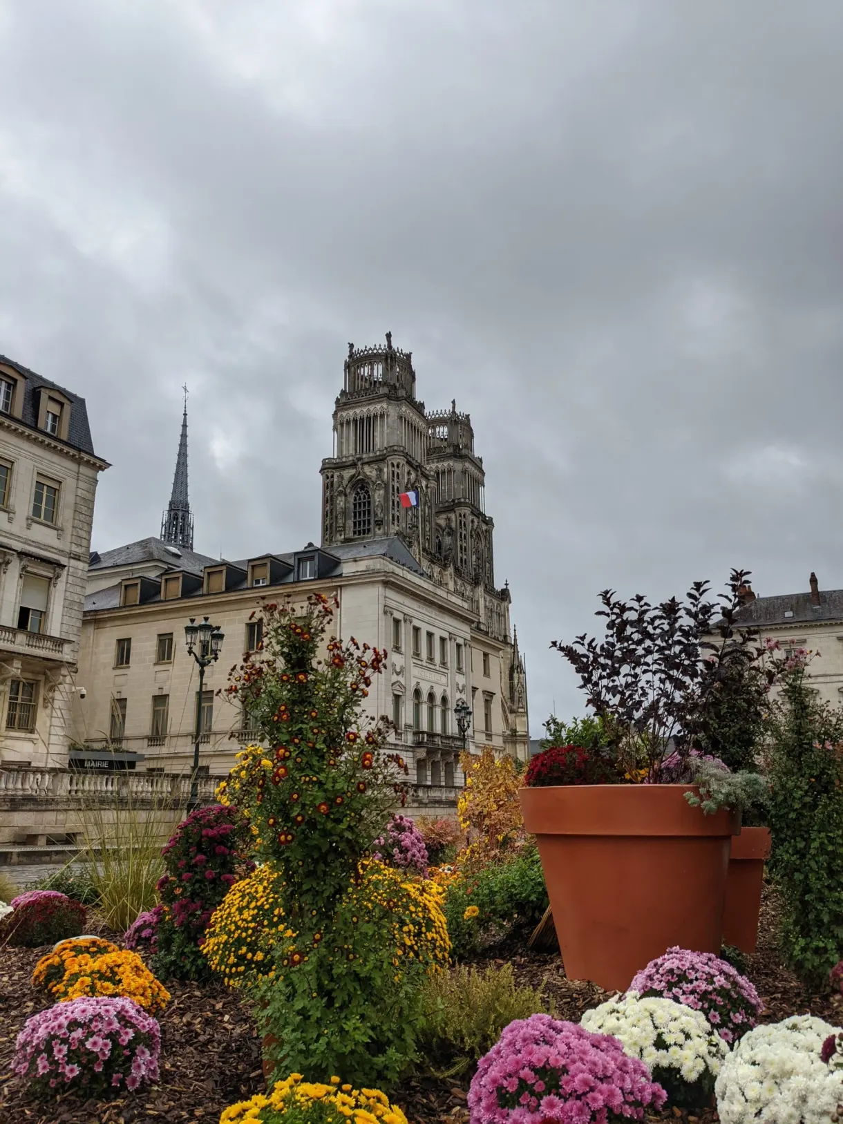Chrysanthèmes en pots devant un bâtiment public
