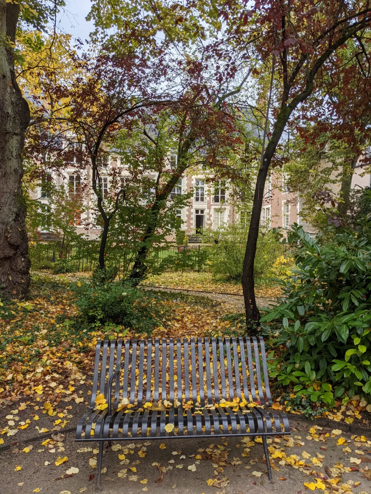 Banc de bois sous les arbres jaunis du jardin