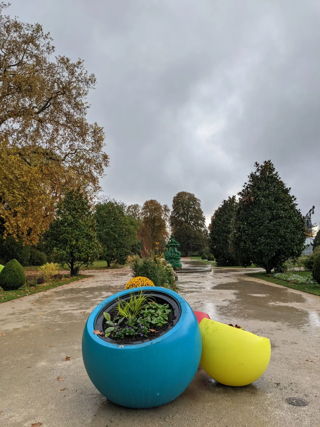 Bacs de fleurs bleu et jaune sur une allée mouillée