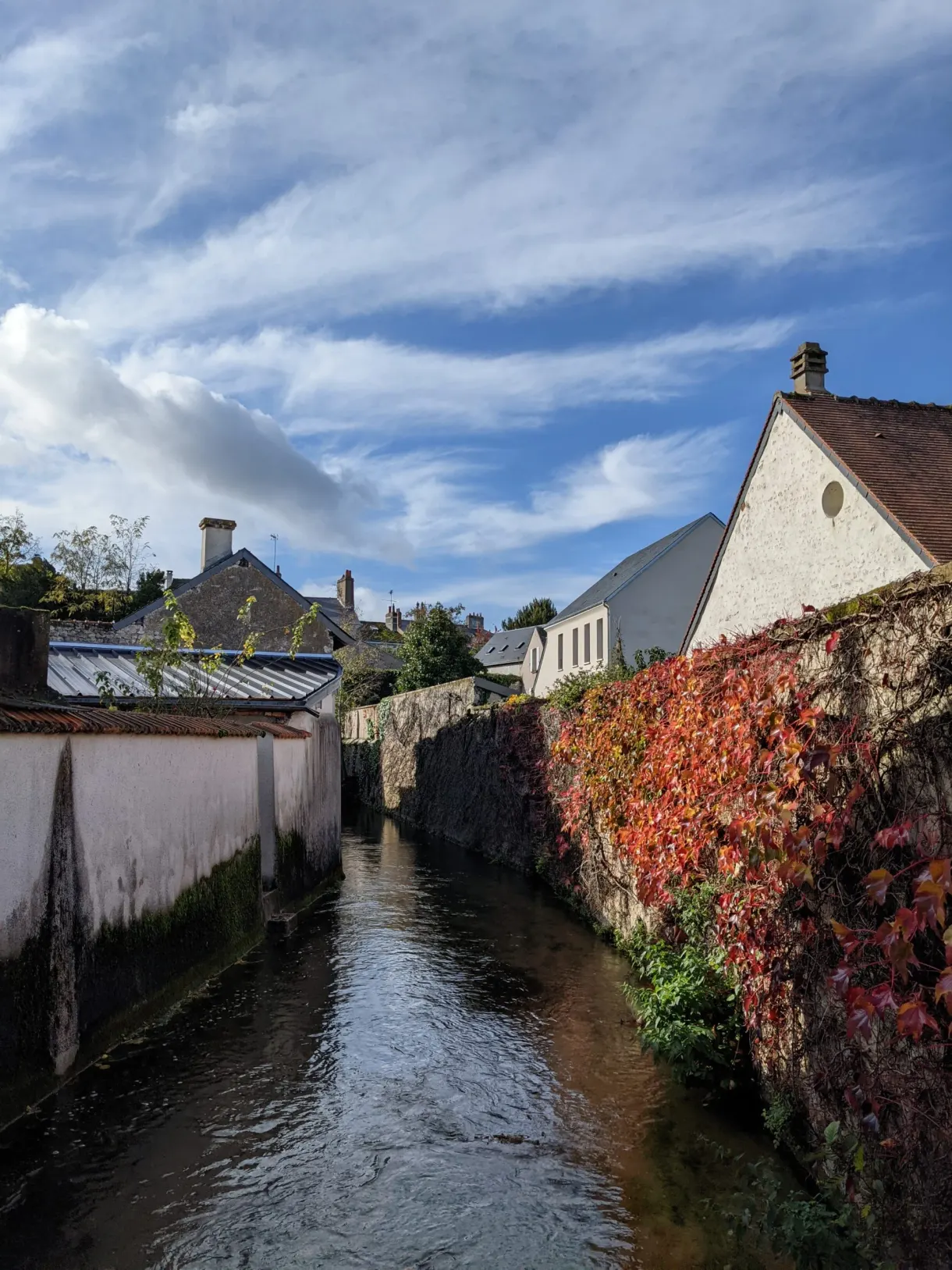 Canal étroit bordé d'un mur couvert de vigne rouge