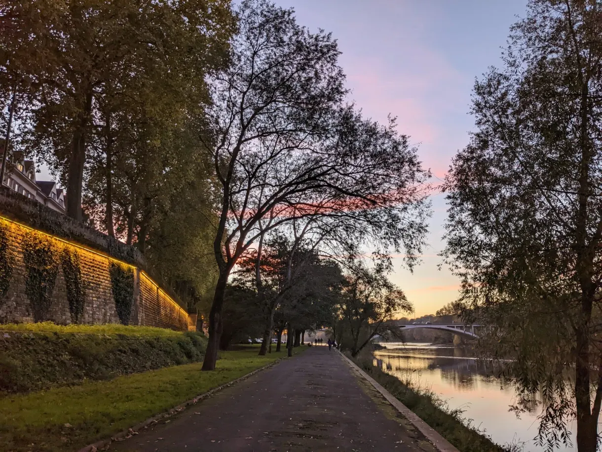 Chemin longeant un mur végétalisé sous un ciel rose du soir
