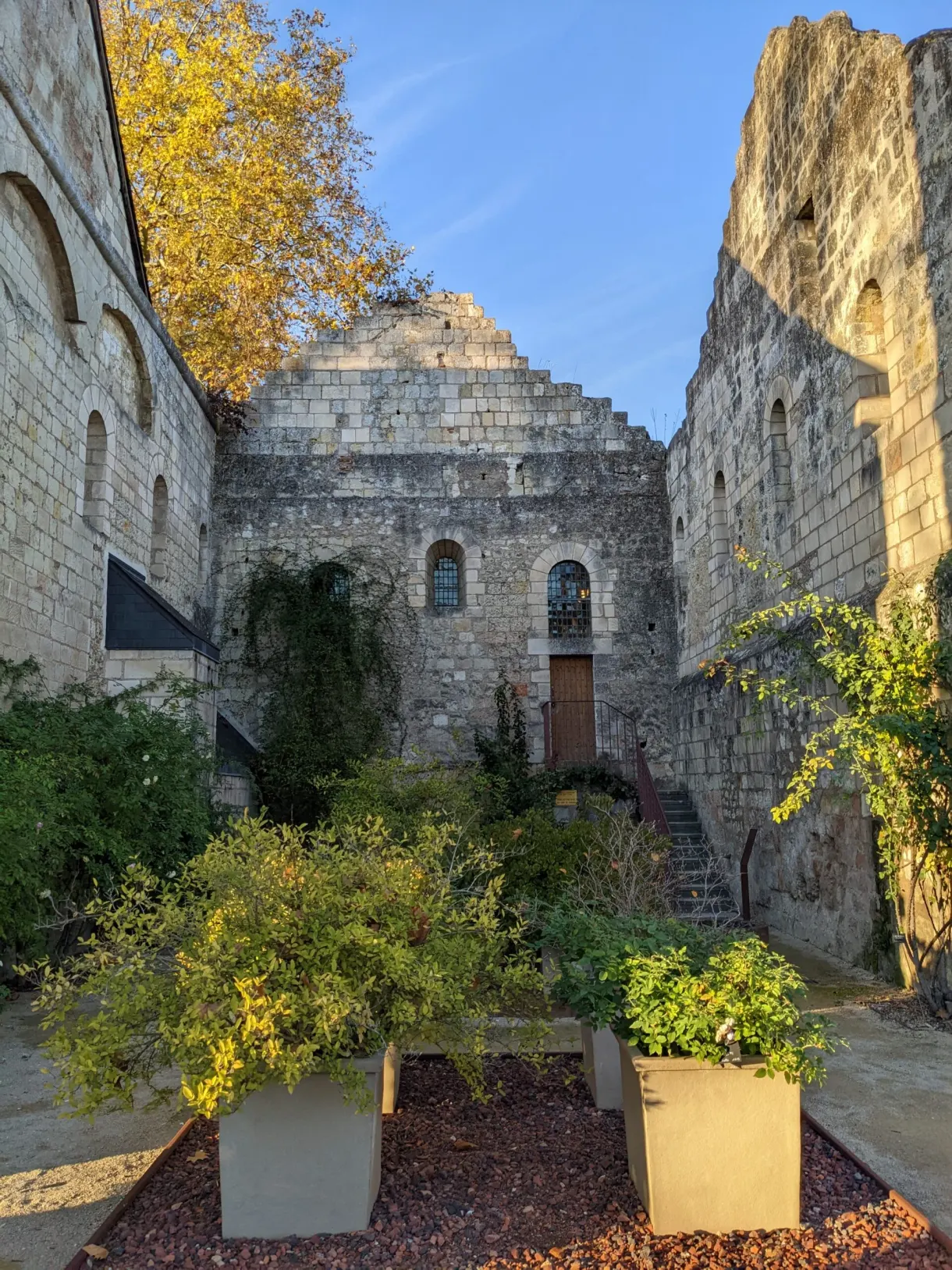 Ruines du prieuré et jardin planté de grands pots