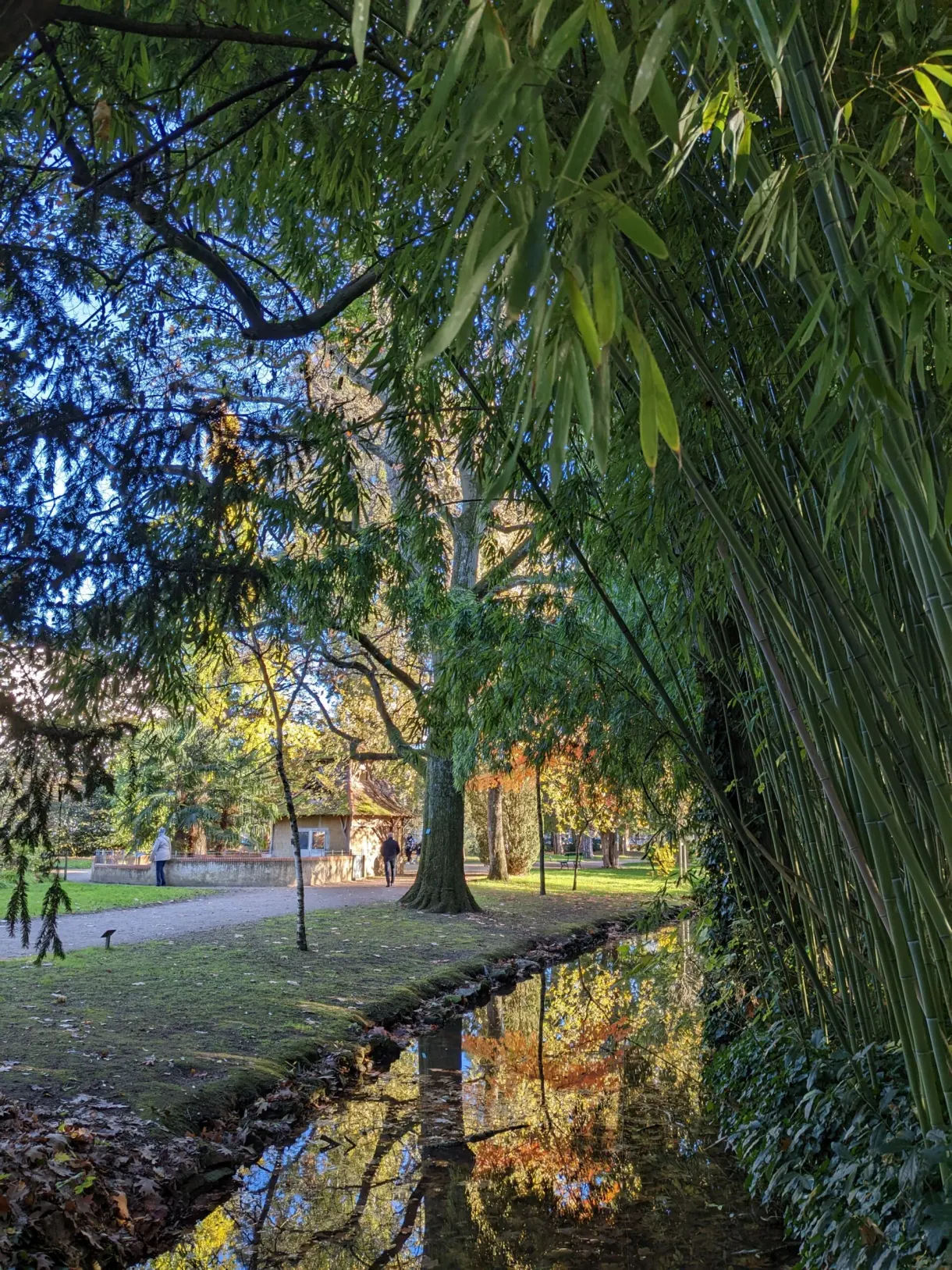 Bassin bordé de bambous et promeneurs dans l'allée du jardin