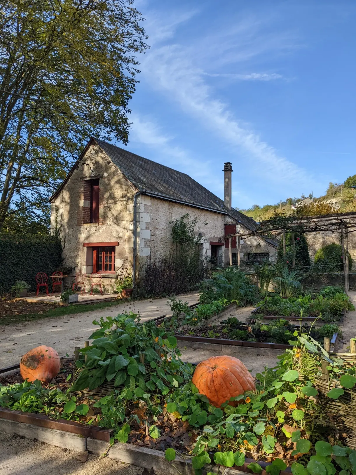 Potager et citrouilles orange devant une maison de jardinier