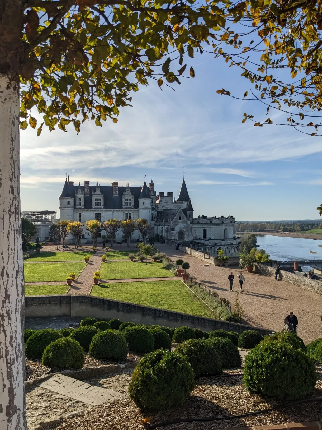 Terrasse du château cadrée sous des branches, Loire à l'horizon