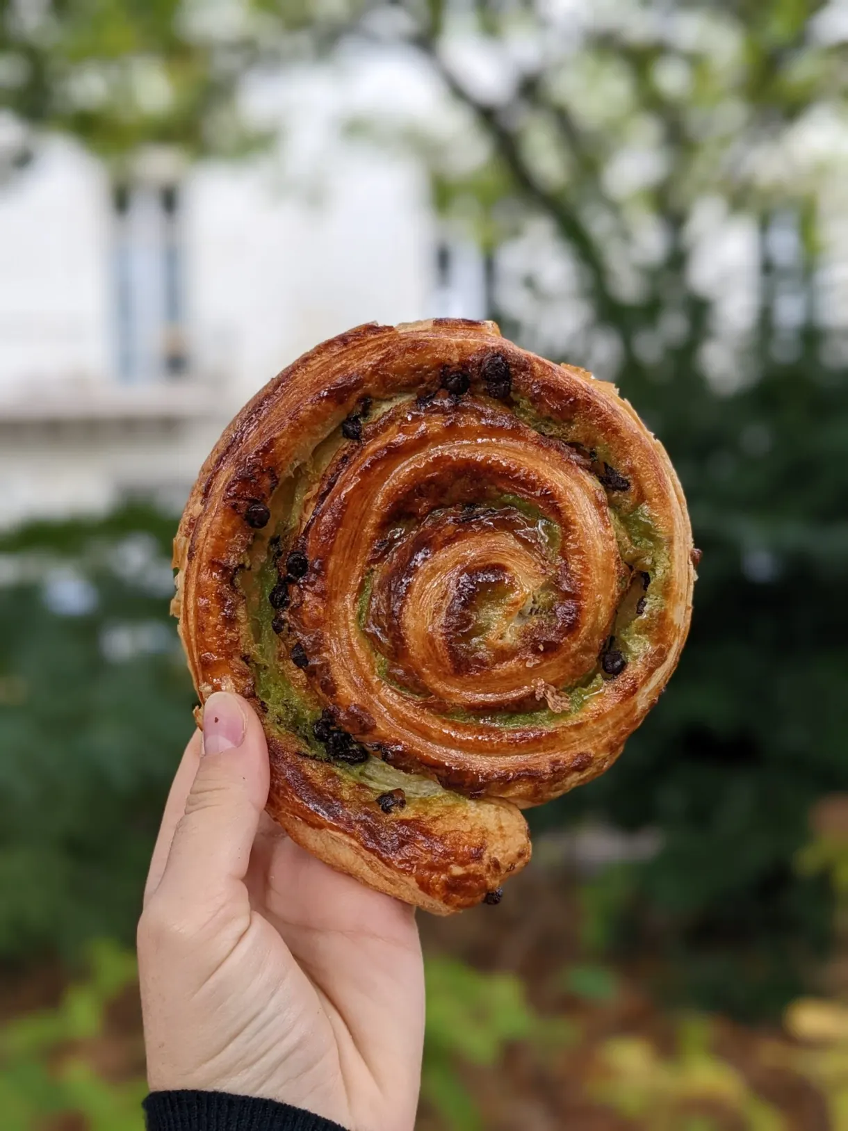 Escargot feuilleté aux pistaches tenu à la main dehors