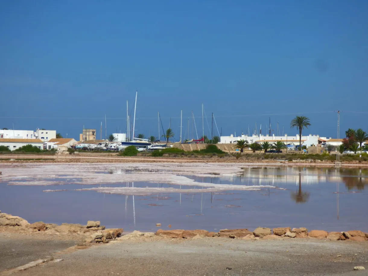 Bassins de sel rosés devant les mâts du port