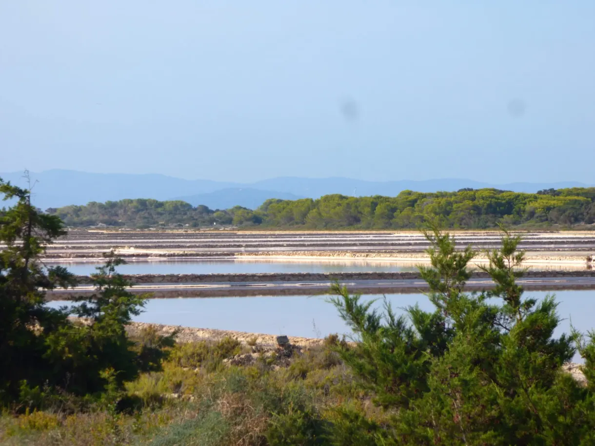 Bassins des salines aperçus derrière des buissons