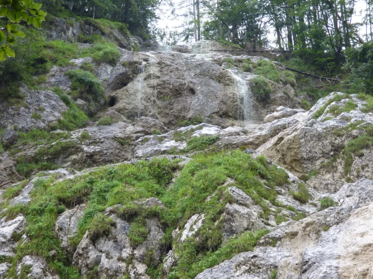 Filet d'eau dévalant des rochers couverts de mousse