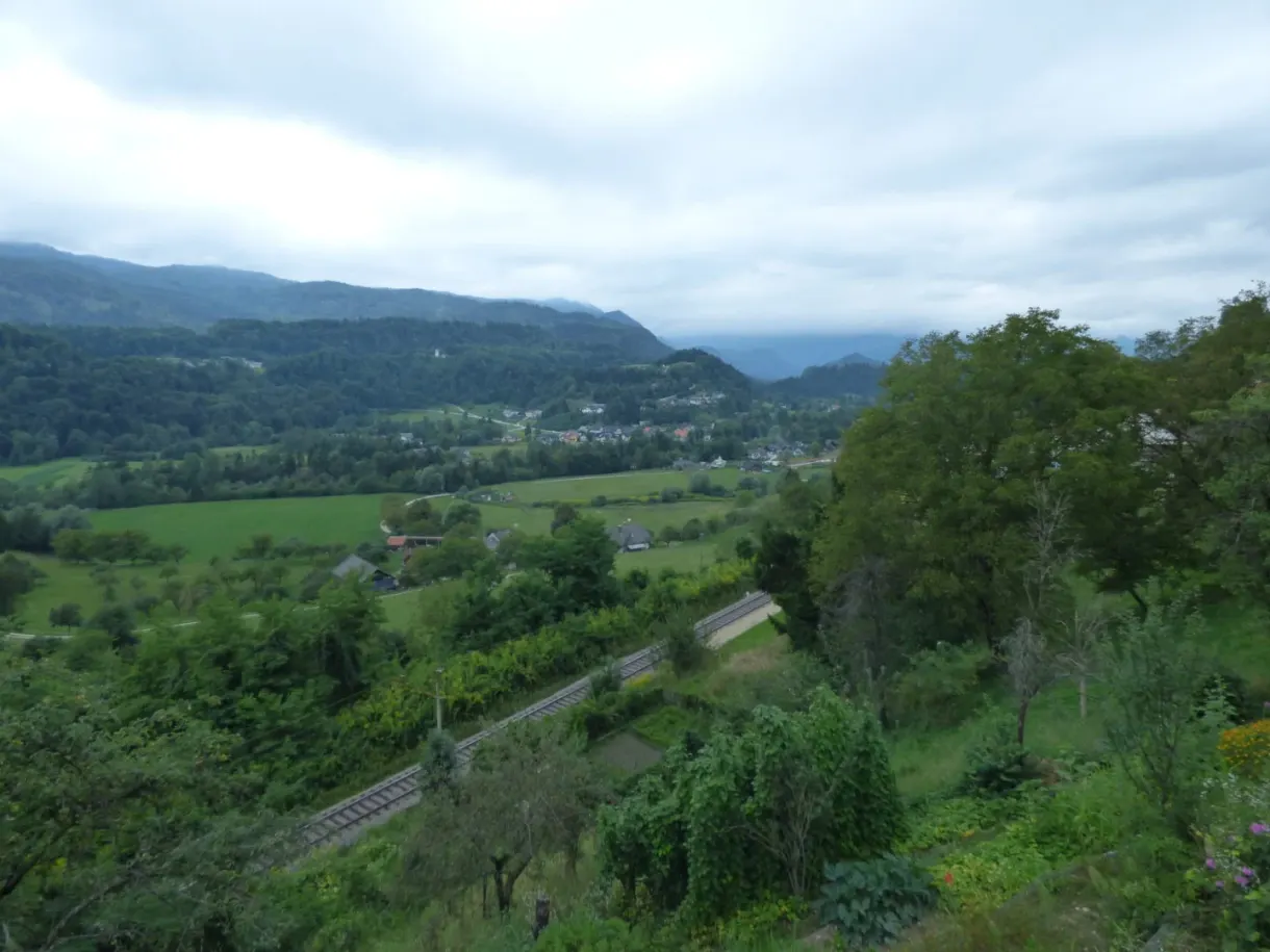 Collines verdoyantes et vallée boisée en contrebas
