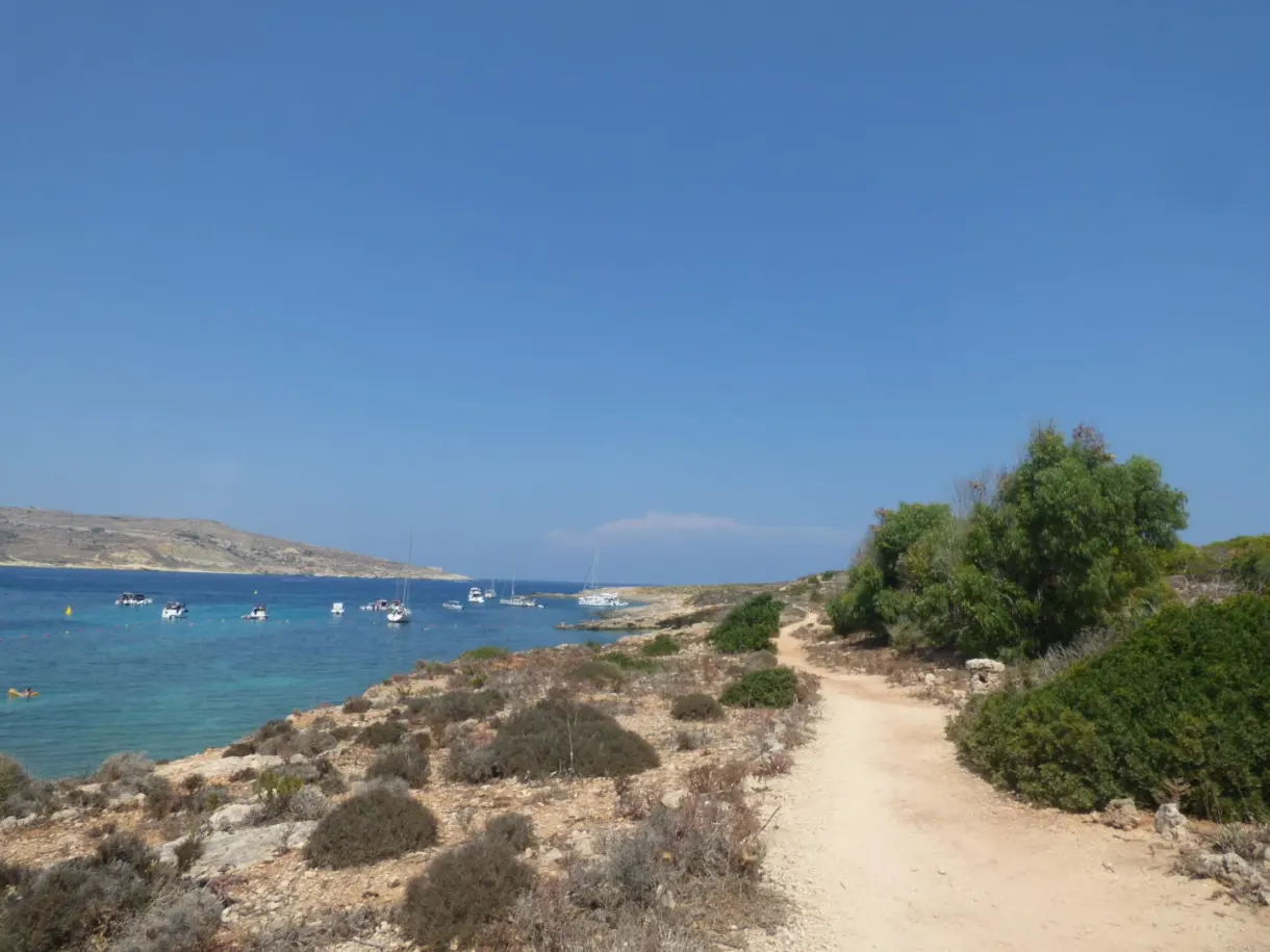 Sentier de terre filant vers la mer bleue