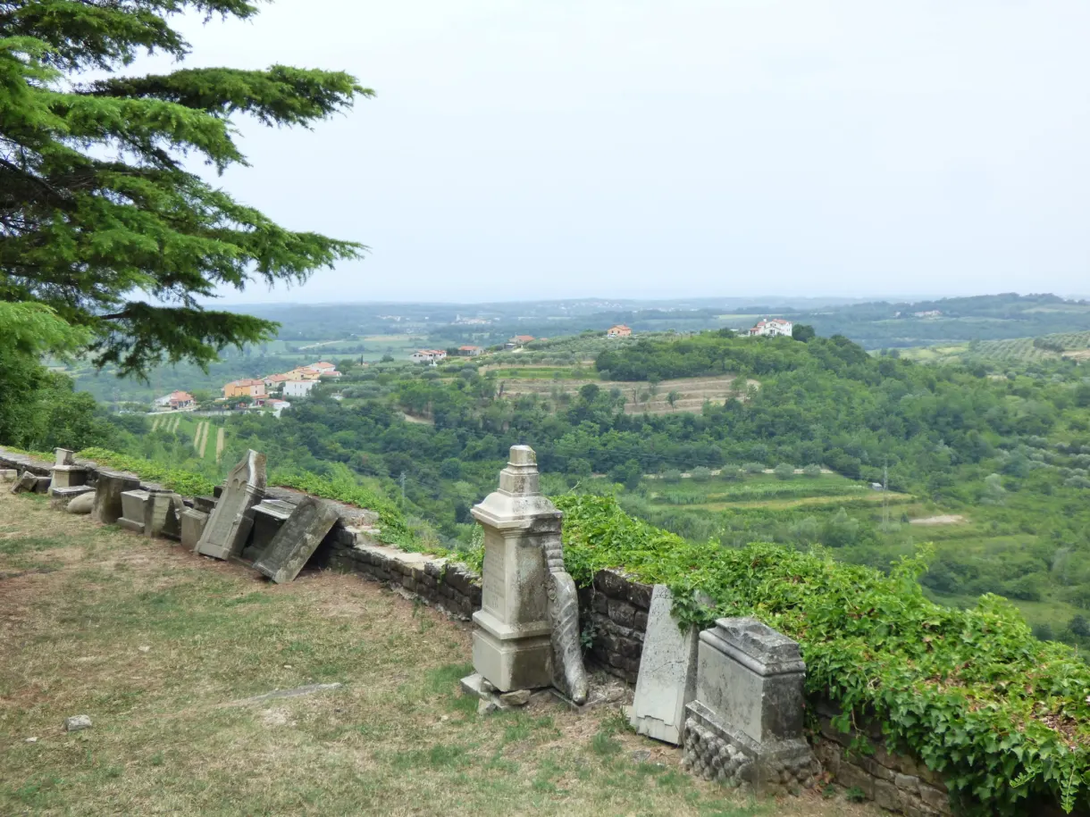 Panorama sur les collines cultivées depuis un muret ombragé de Buje
