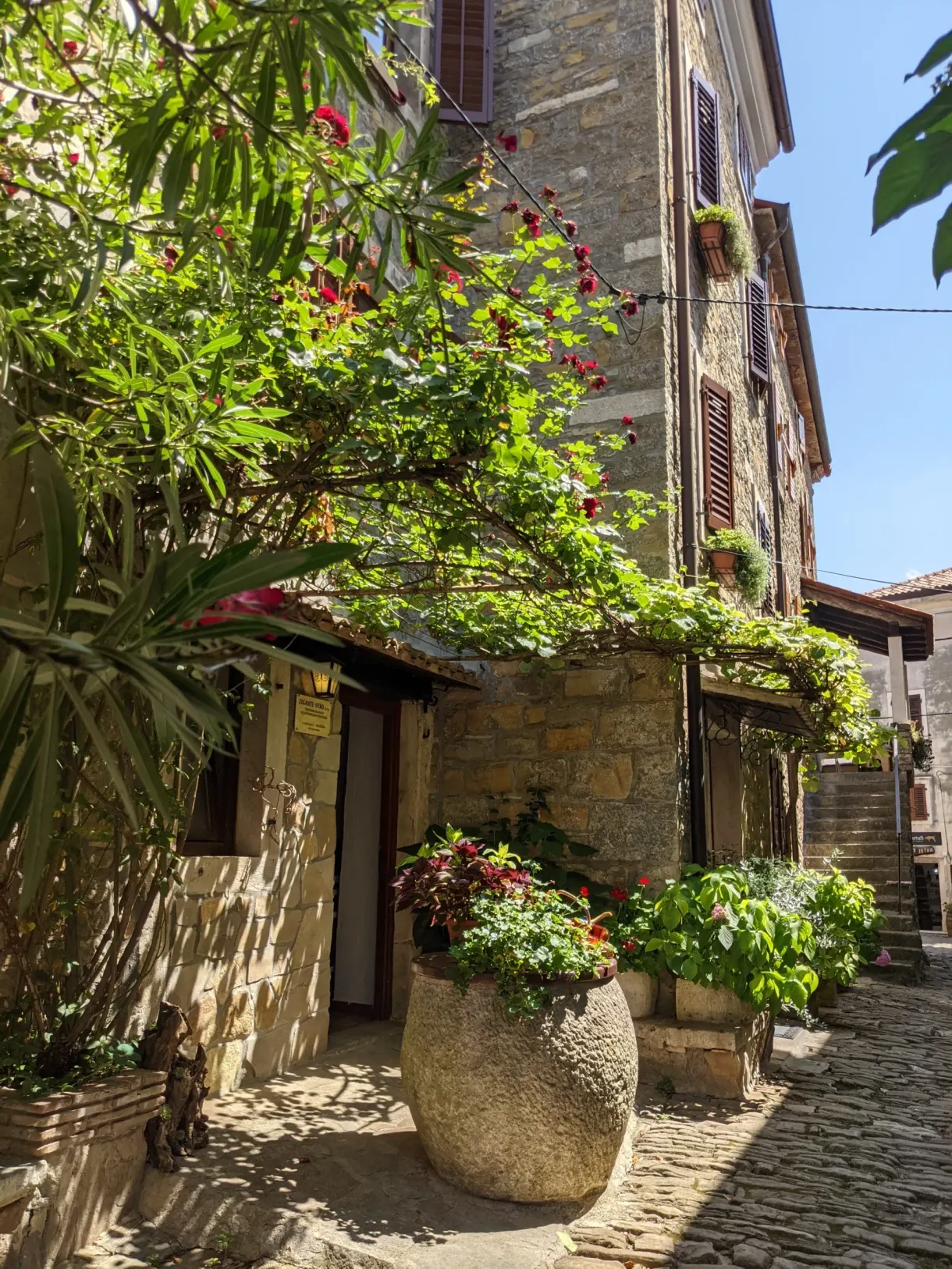 Ruelle en pente bordée de grandes jarres et de plantes grimpantes