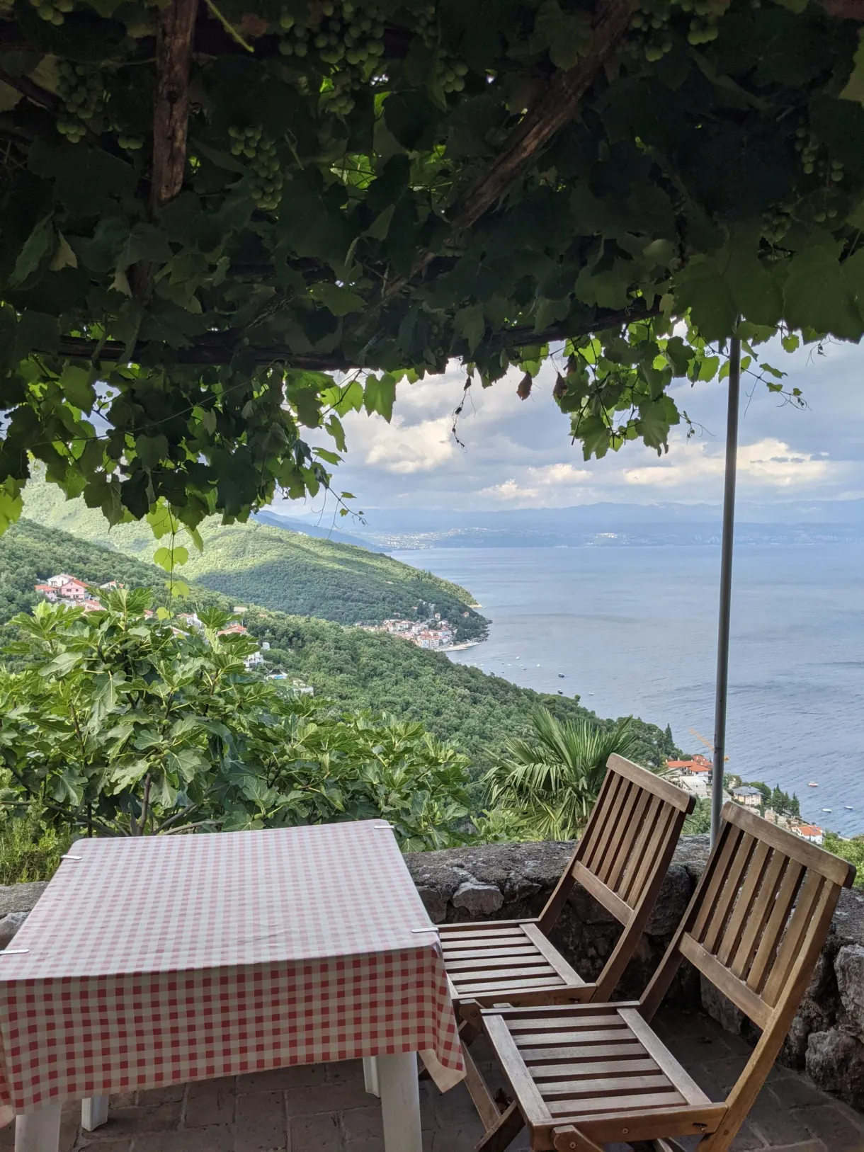 Table à nappe à carreaux sous une treille de vigne avec vue sur la mer