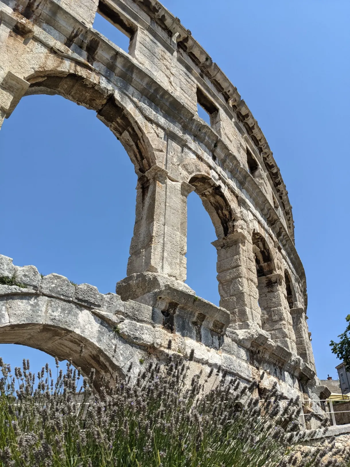 Arcades de l'amphithéâtre de Pula vues d'en bas au-dessus de la lavande