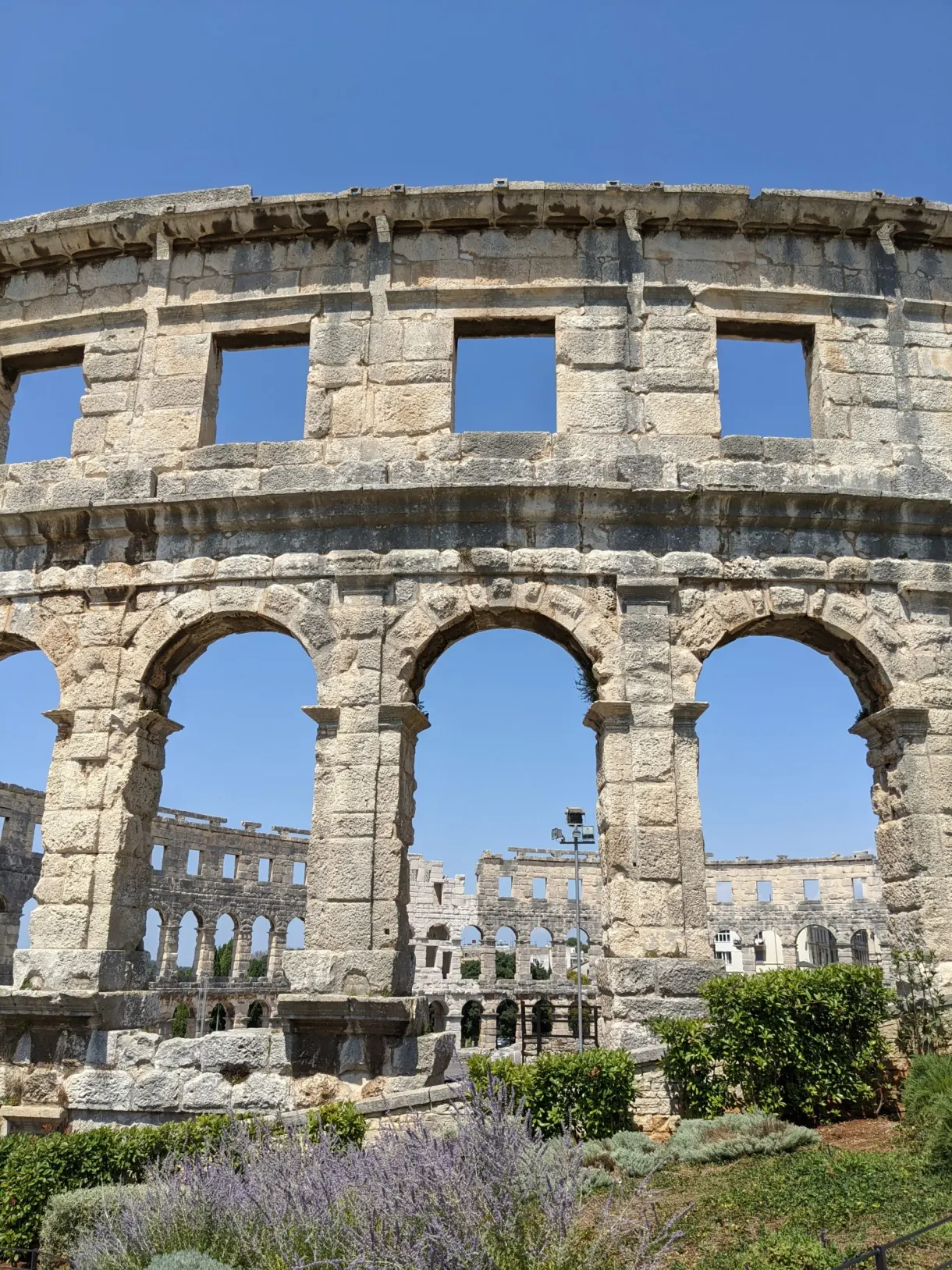 Façade extérieure des arènes de Pula bordée de massifs de lavande