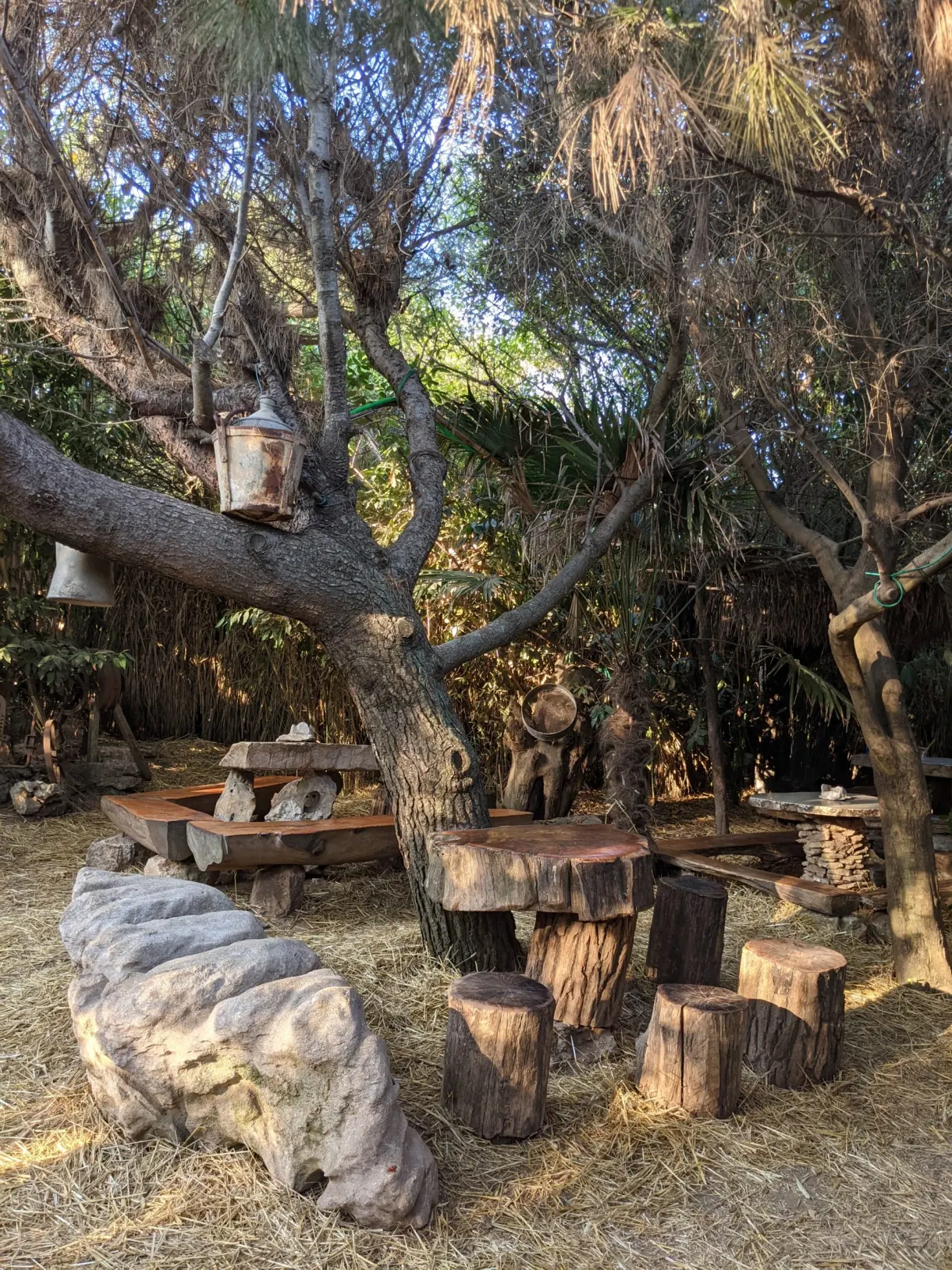 Bar de plage sous les arbres avec tabourets taillés dans des rondins