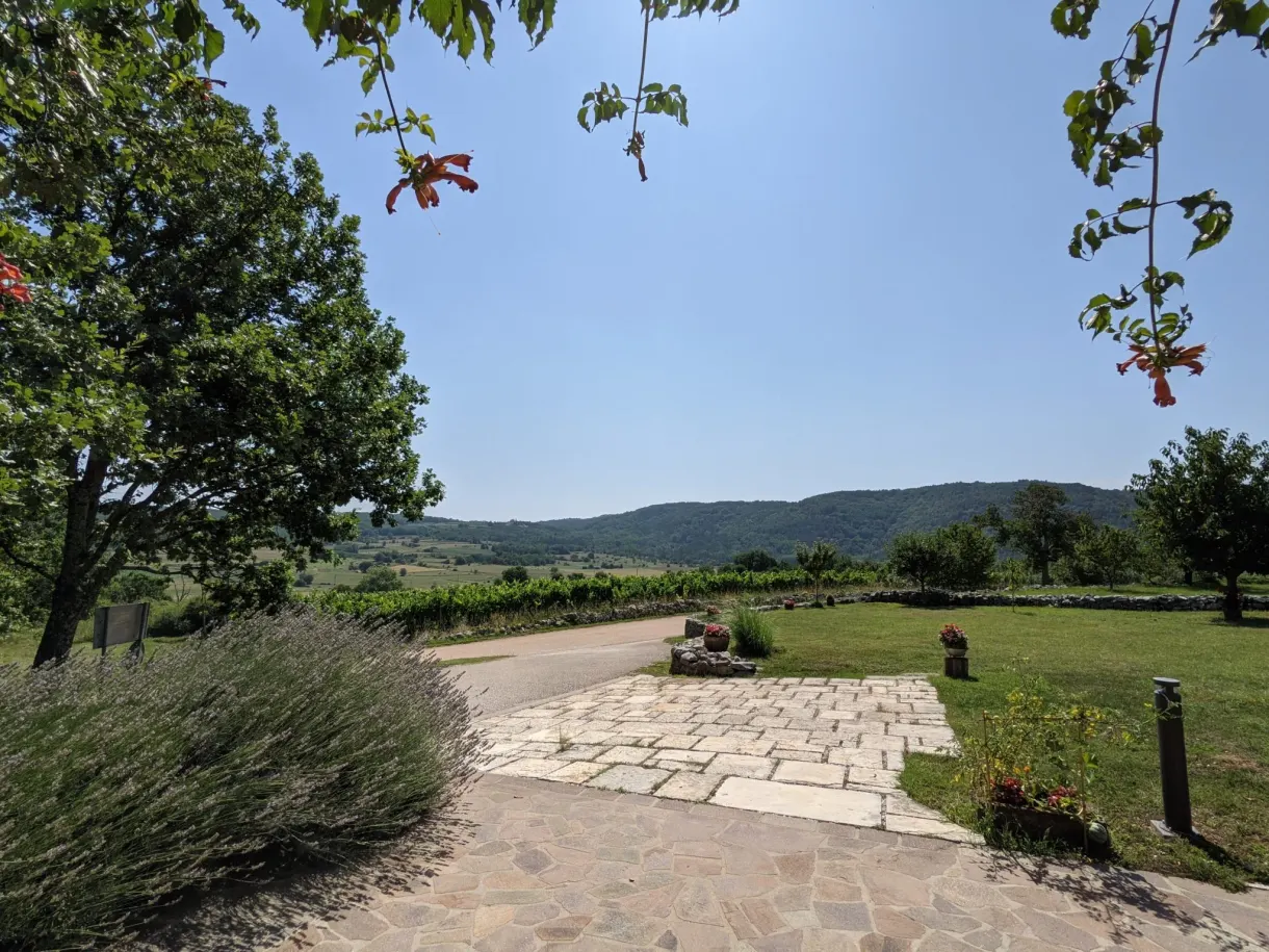 Jardin et allée de pierre du logement ouvrant sur les vignes