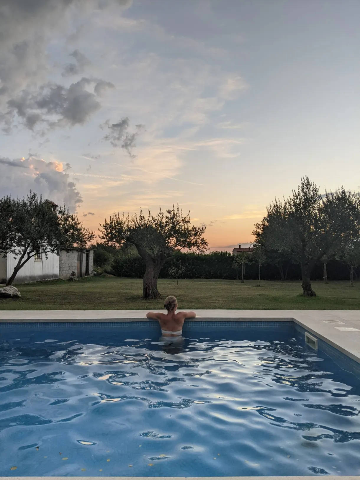 Baigneur accoudé au bord de la piscine au crépuscule, entre les oliviers