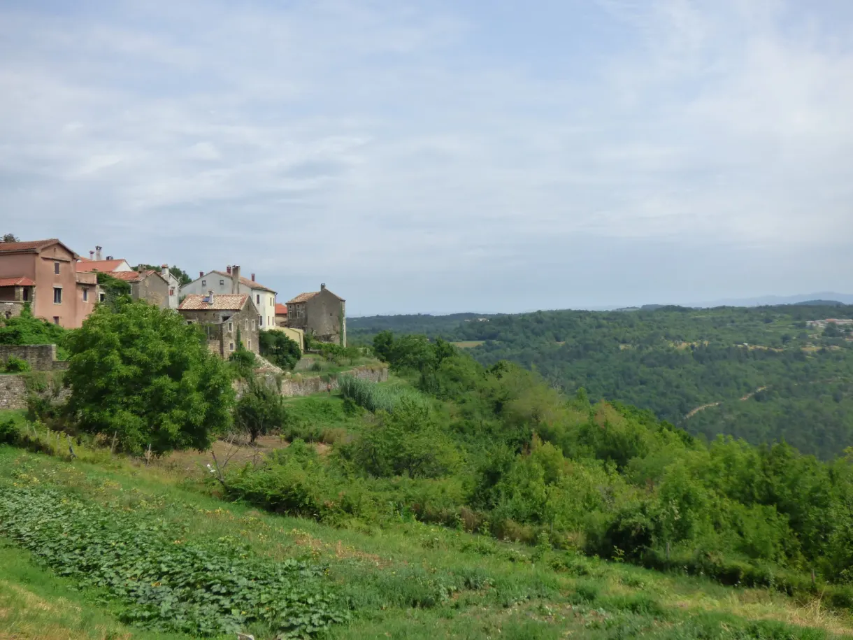 Maisons de pierre en lisière d'Oprtalj face aux collines boisées