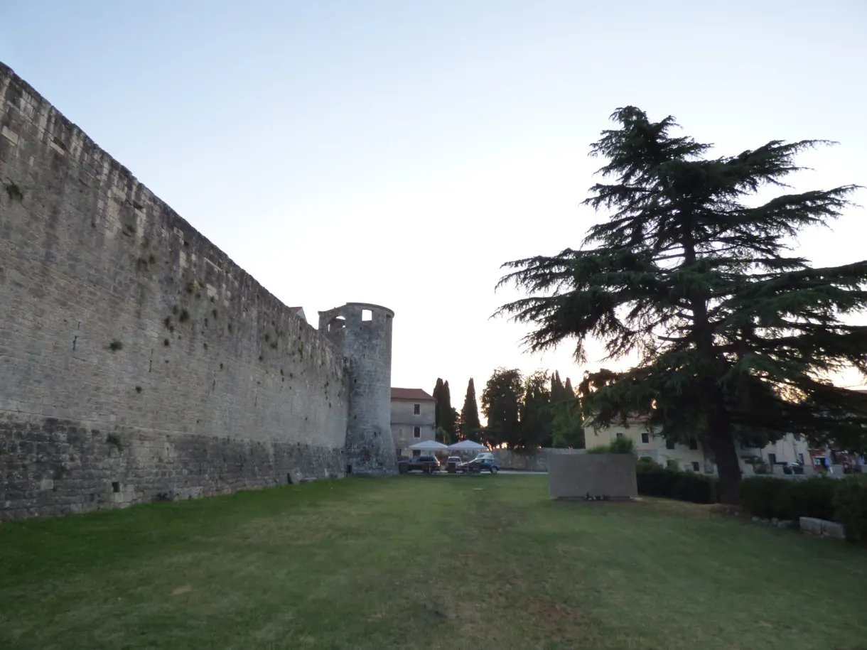 Courtine du château et grand cèdre au crépuscule, Svetvinčenat
