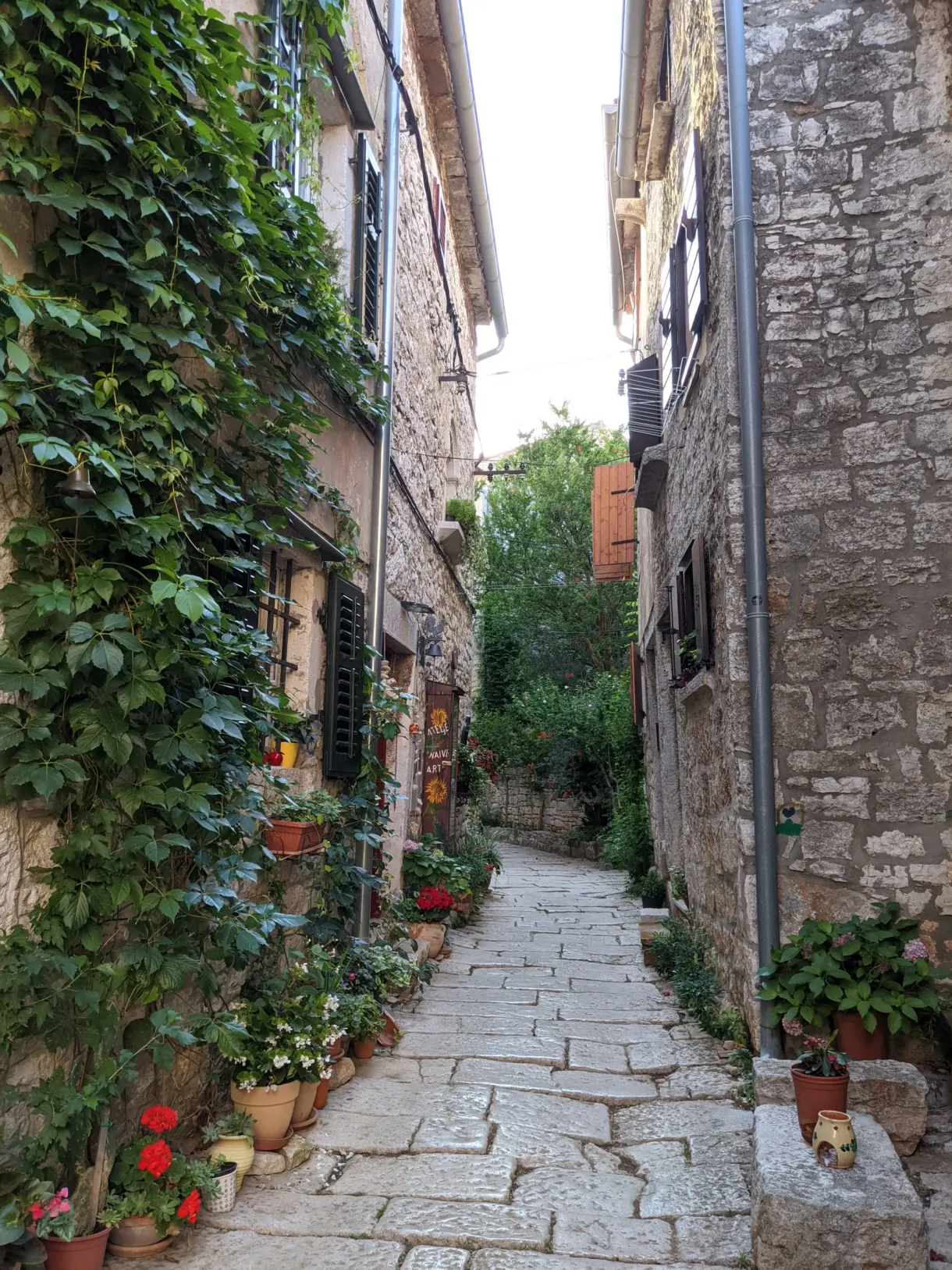 Ruelle pavée tapissée de lierre et de pots fleuris à Bale