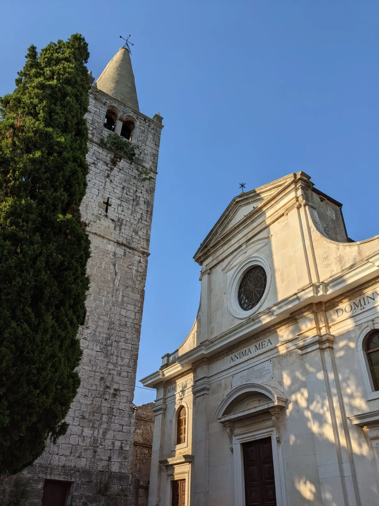 Clocher et façade claire de l'église de Bale derrière un grand cyprès