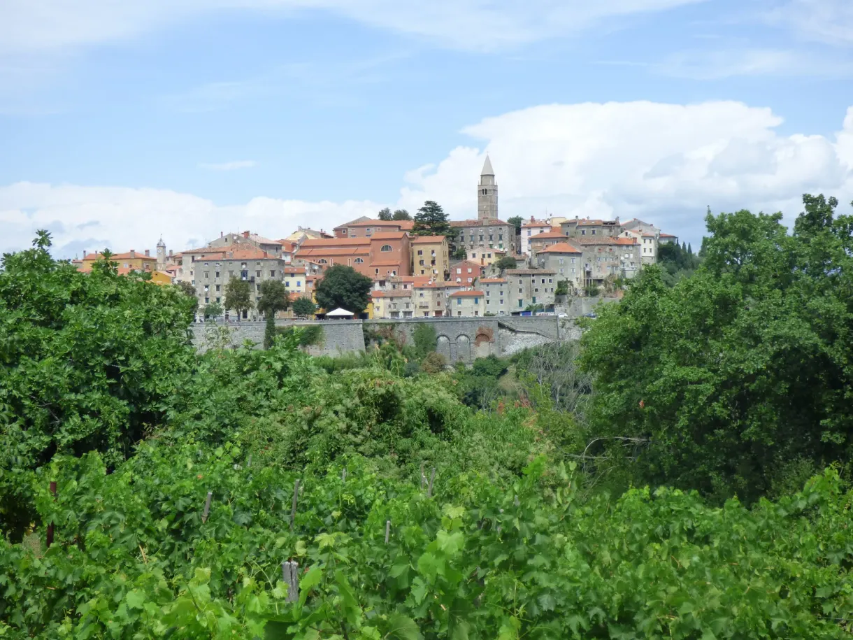Labin perché sur sa colline au-dessus d'une mer de verdure