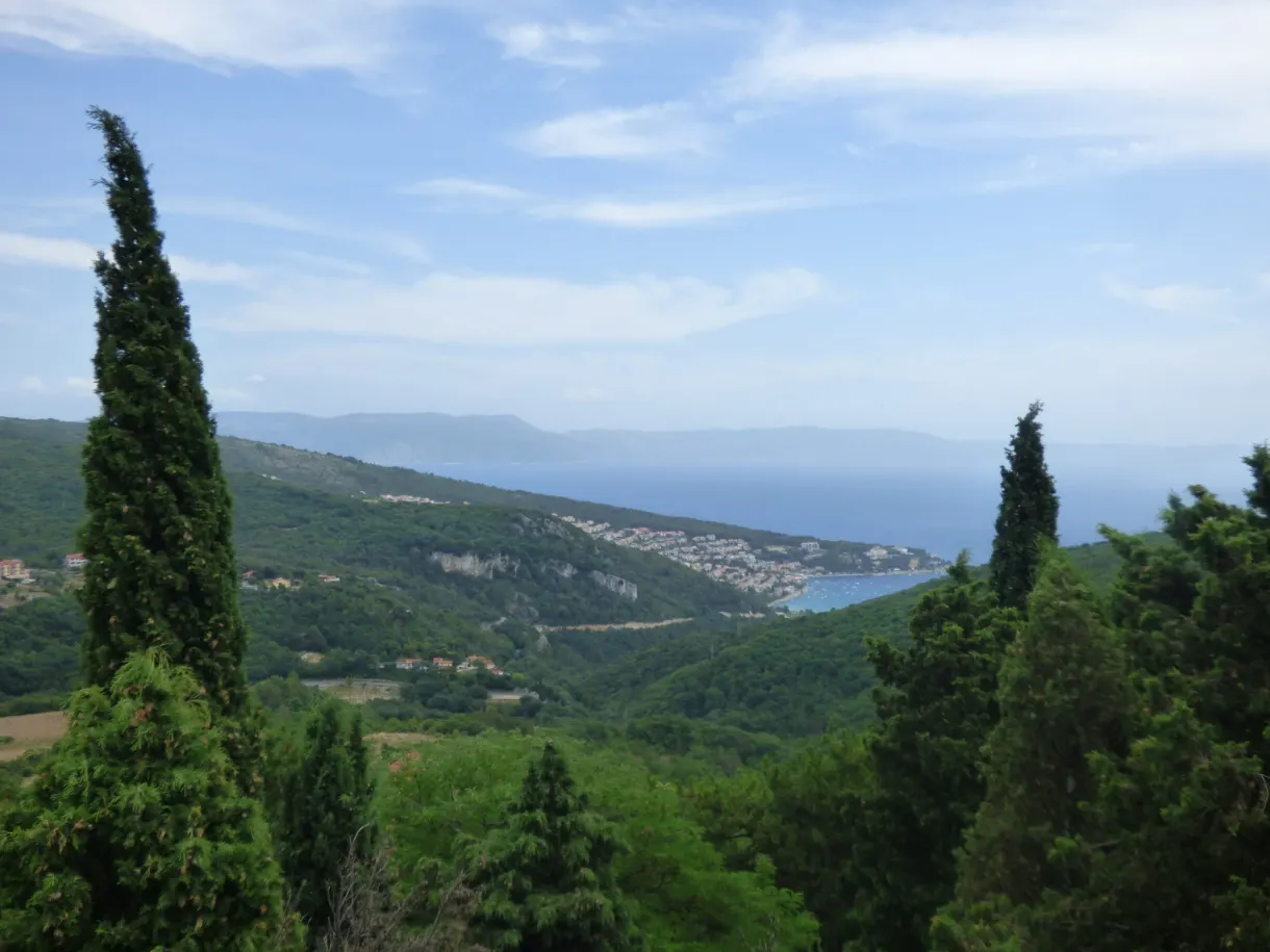 Cyprès élancé et vue sur la côte depuis les hauteurs de Labin