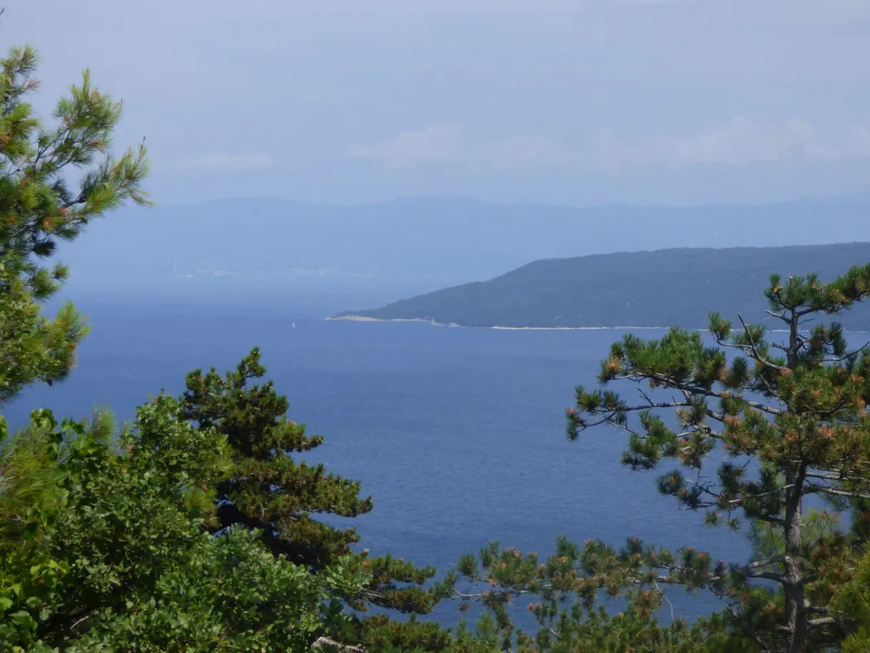 Pins au-dessus de la mer bleue et de la côte lointaine, Plomin