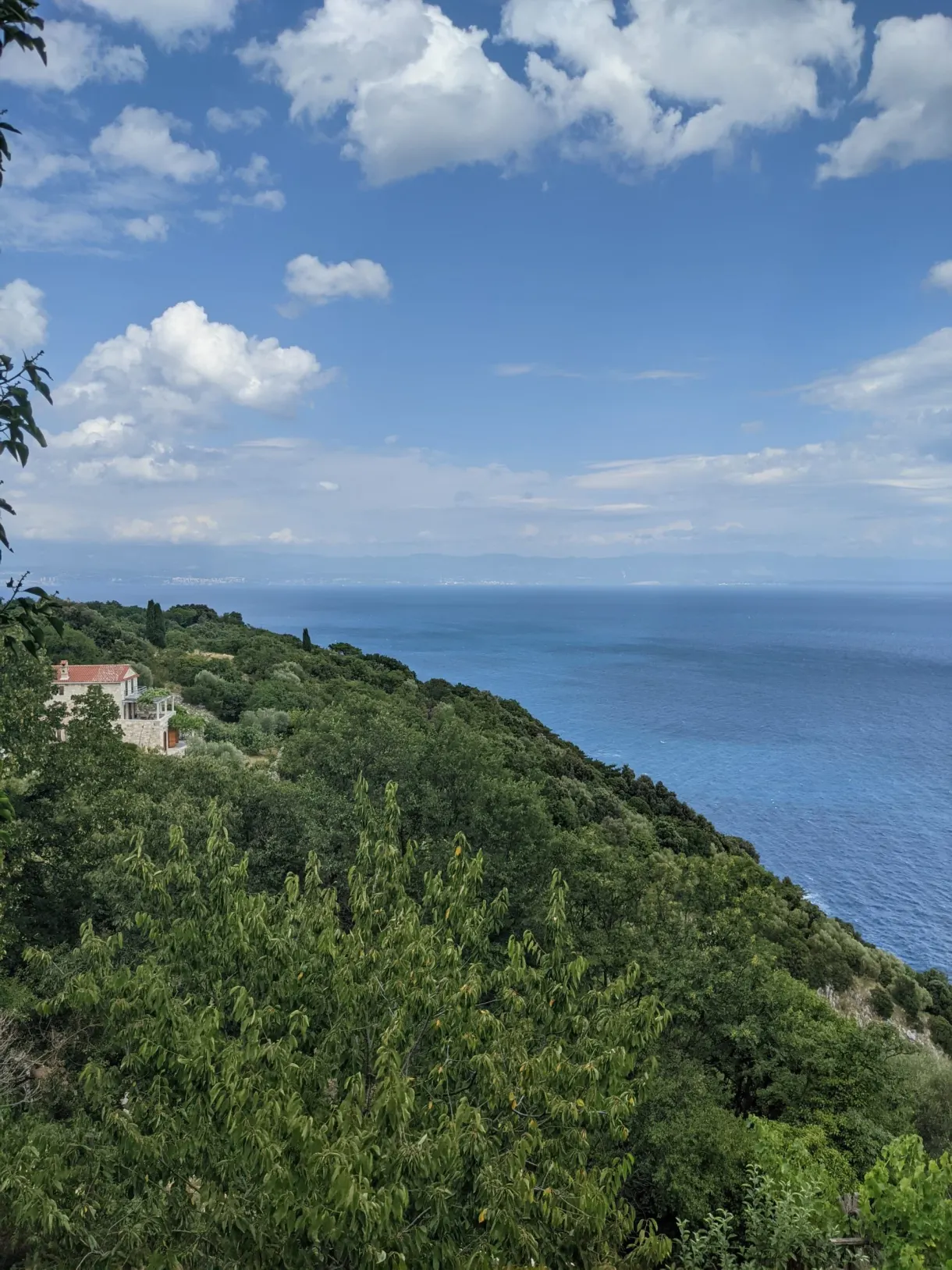 Versant boisé plongeant vers la mer sous un ciel de nuages, Brseč