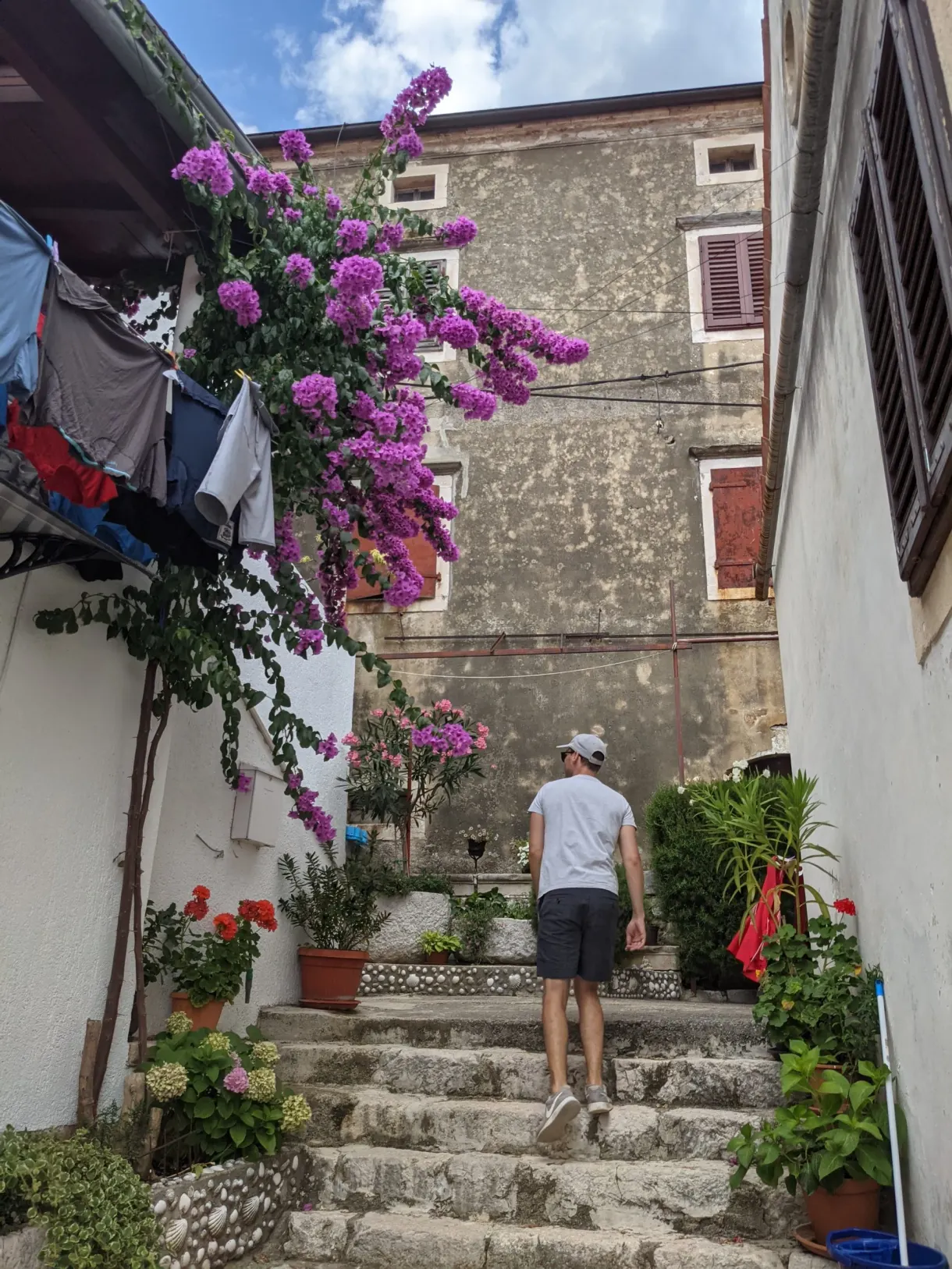 Femme gravissant un escalier sous un bougainvillier violet, Brseč