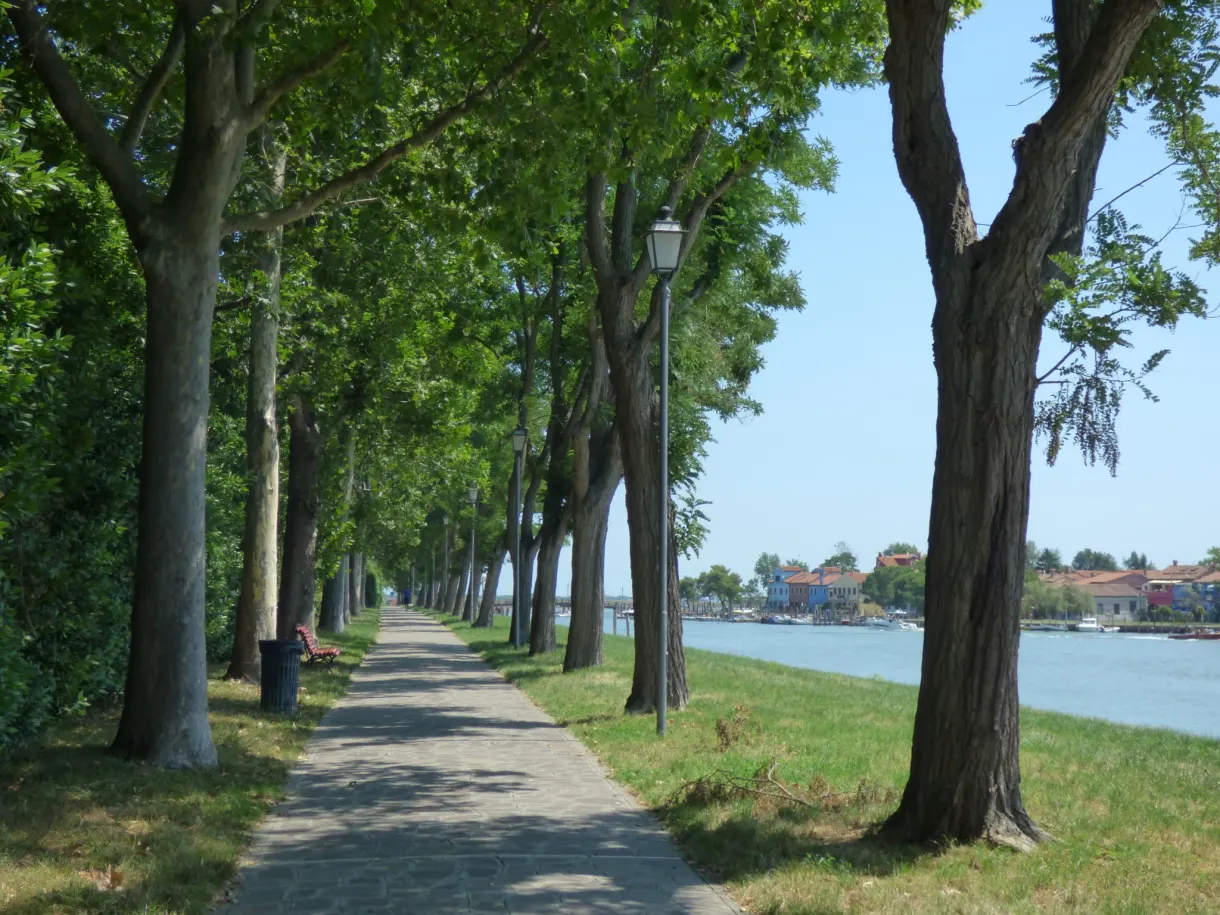 Tree-shaded path running along the Venetian lagoon