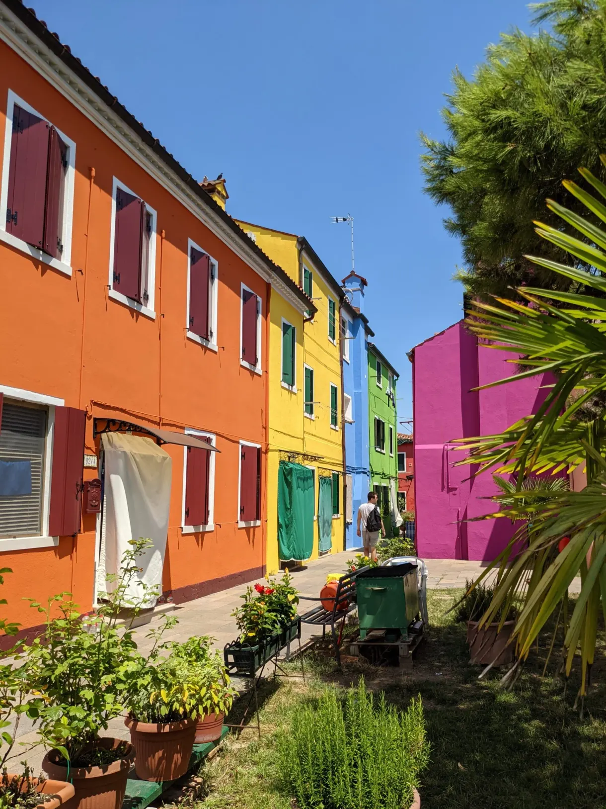 Orange, yellow and magenta houses and their planted front gardens