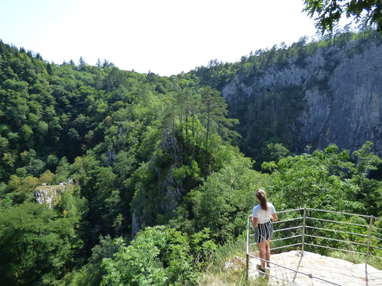 À un belvédère au-dessus de la gorge boisée