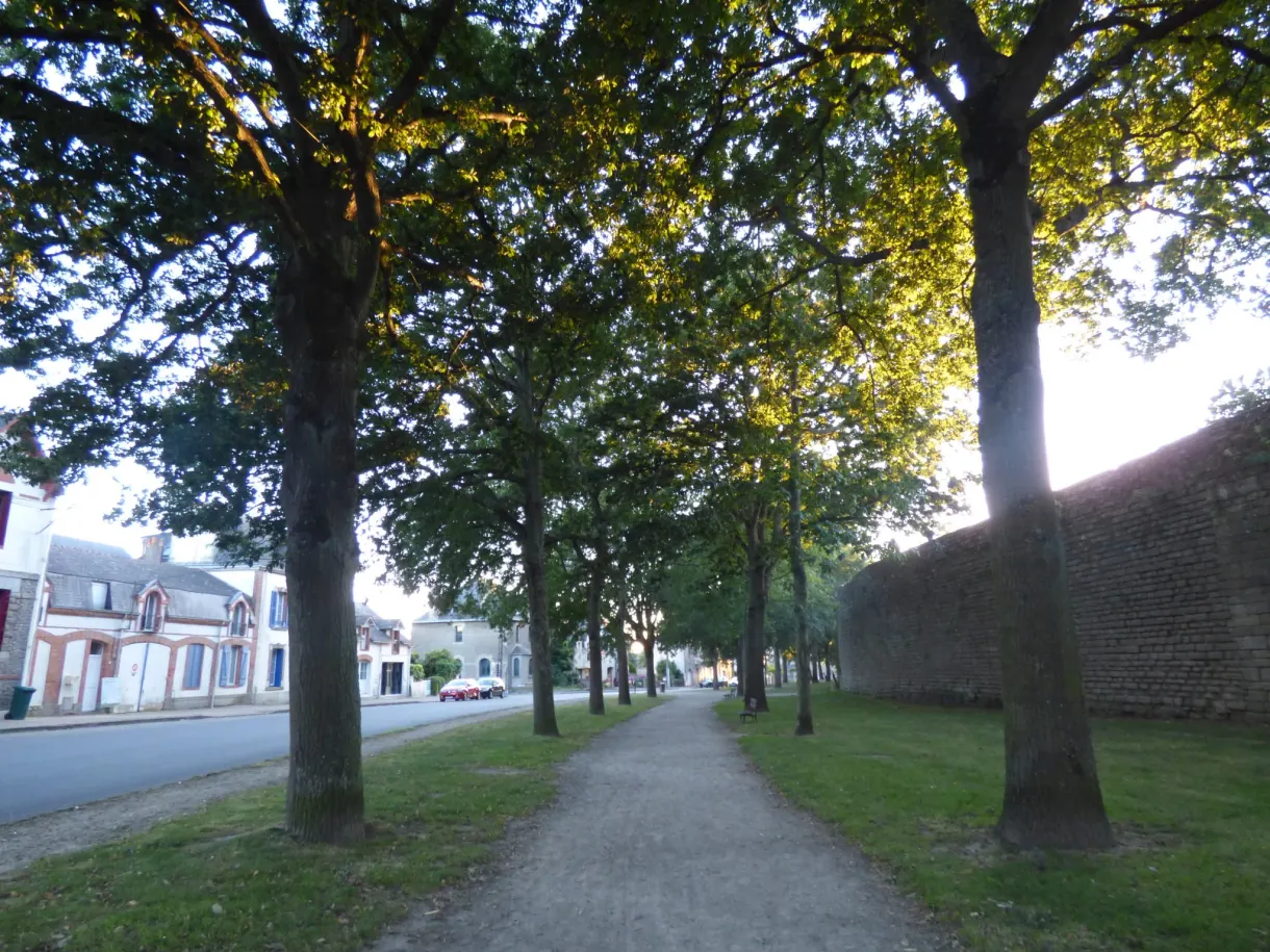 Shaded avenue of trees running along the foot of the ramparts