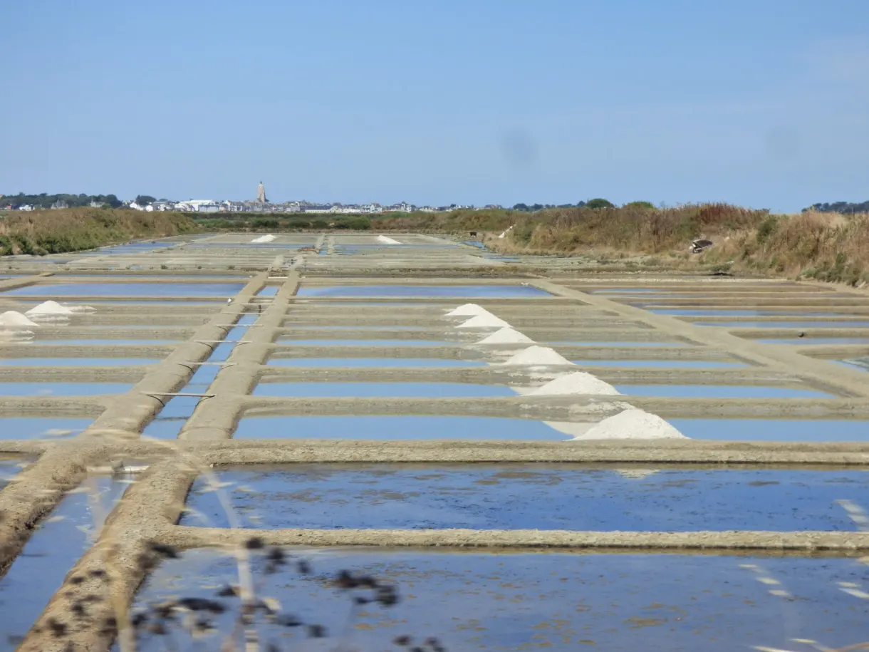 Crystallising pans in rows and small heaps of freshly harvested salt