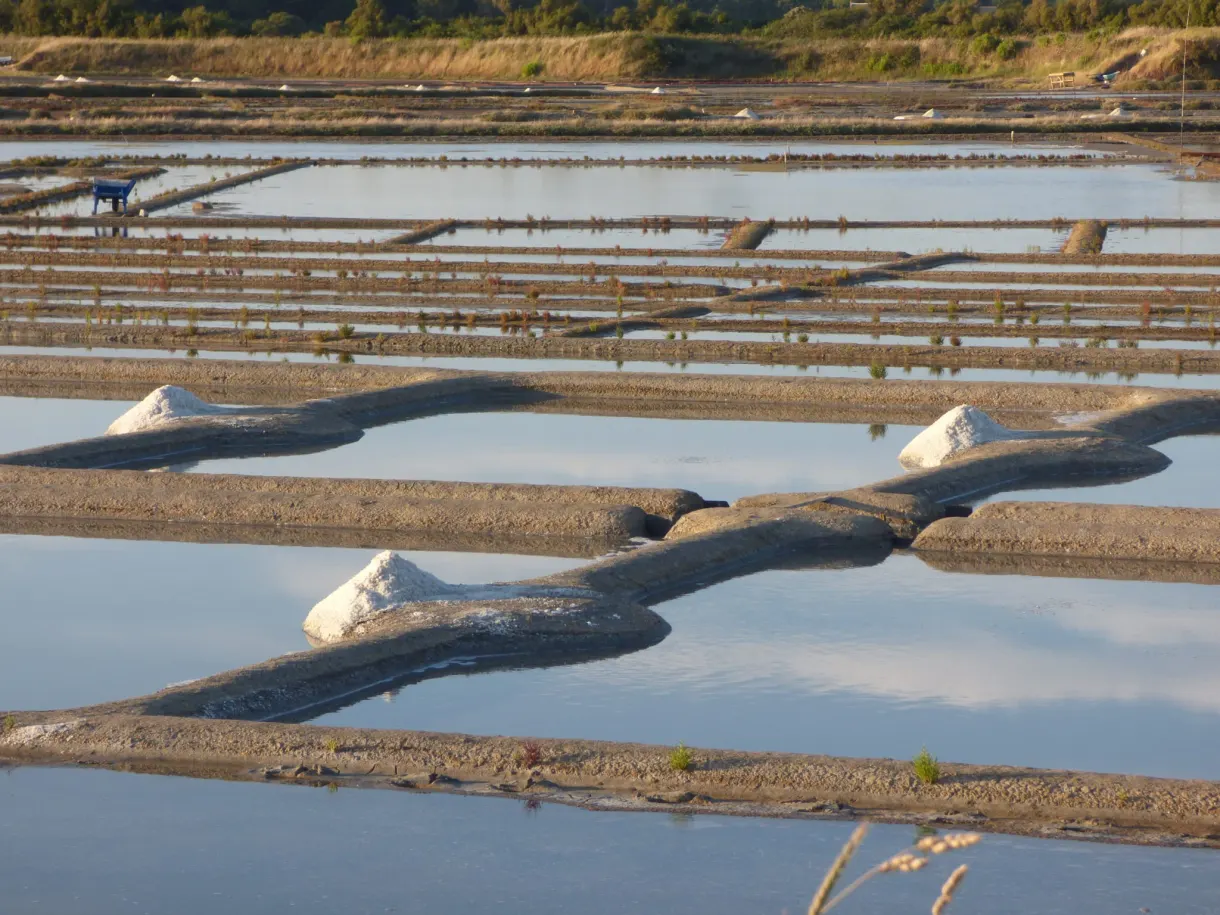 Mounds of white salt between the clay banks