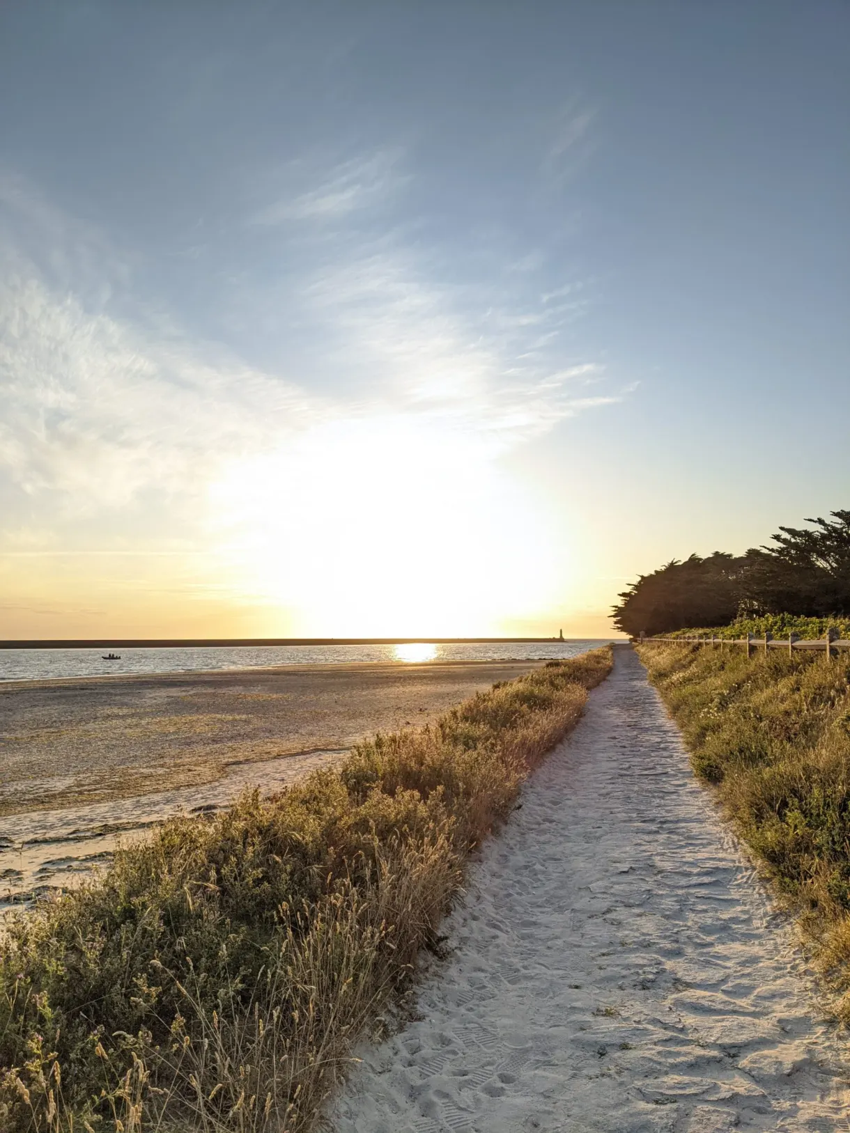 Sandy path running towards the sea against the light