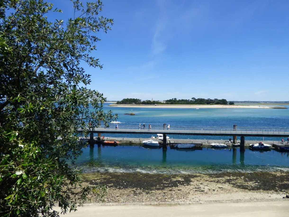 Turquoise water and pontoons glimpsed through the foliage