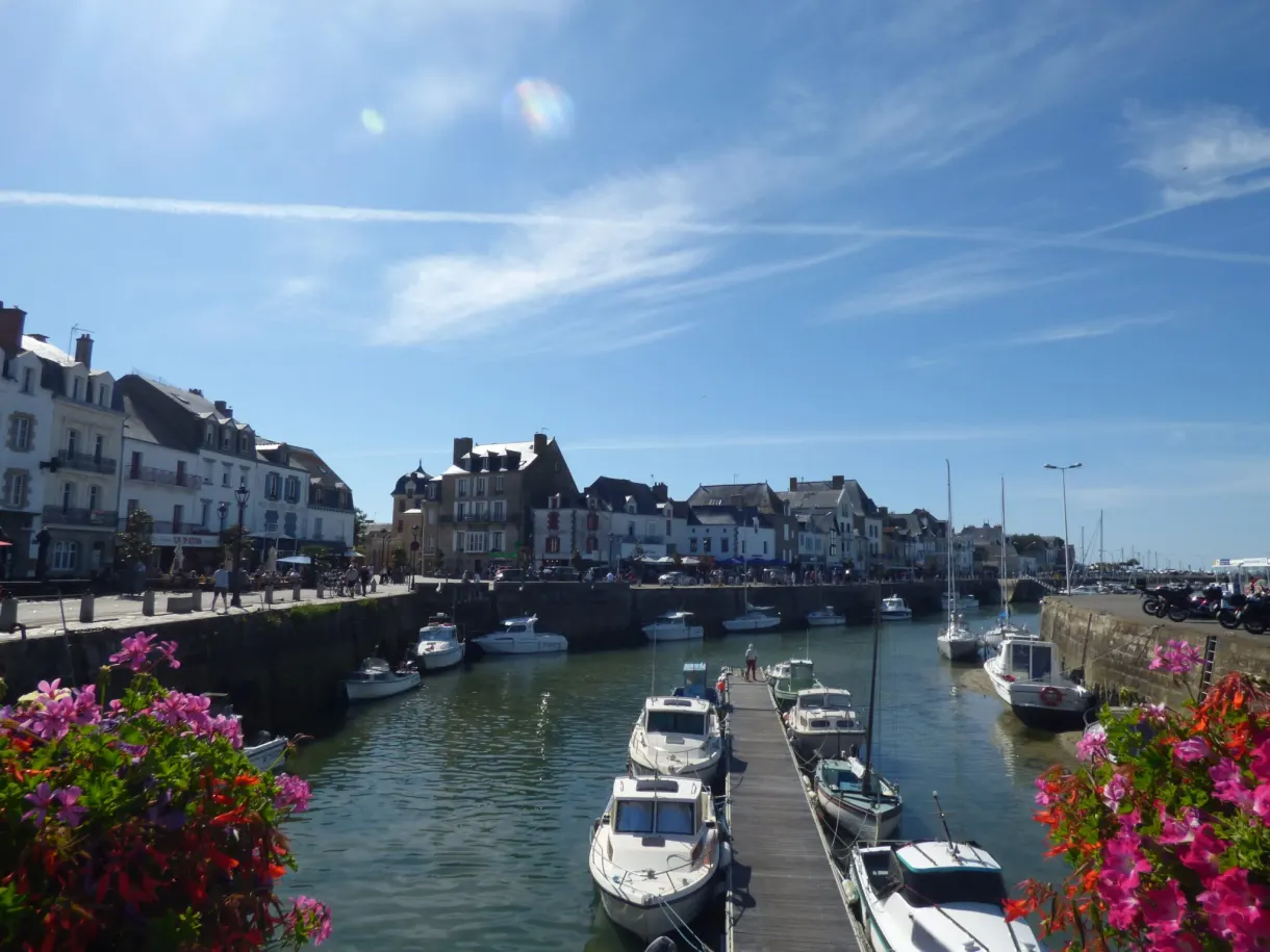 Pink flowers in the foreground of the marina