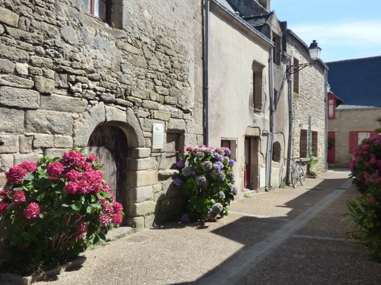 Vivid pink hydrangeas against stone walls