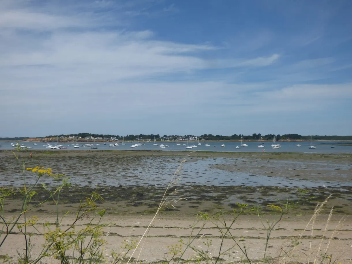 Mudflat at low tide dotted with beached boats