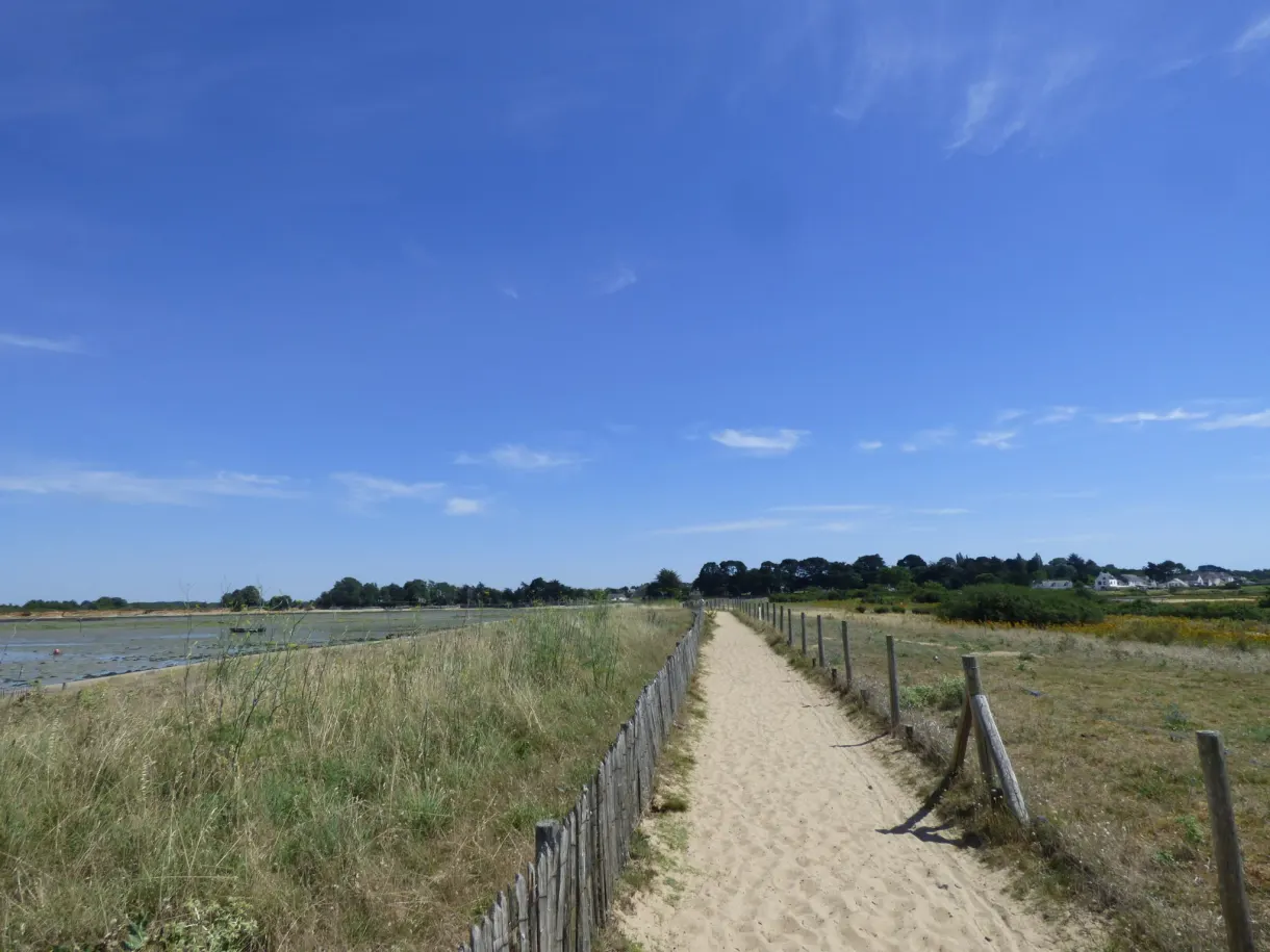Sandy path lined with wooden posts leading to the sea