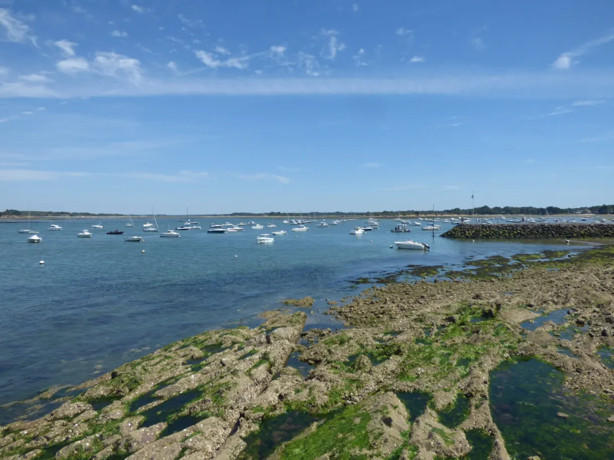 Seaweed-covered rocks in front of boats at anchor