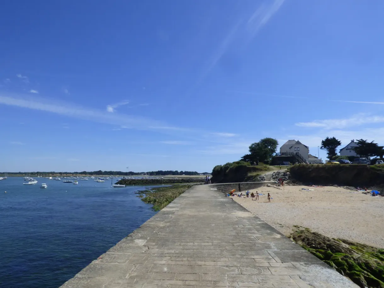 Concrete sea wall leading towards a wooded point