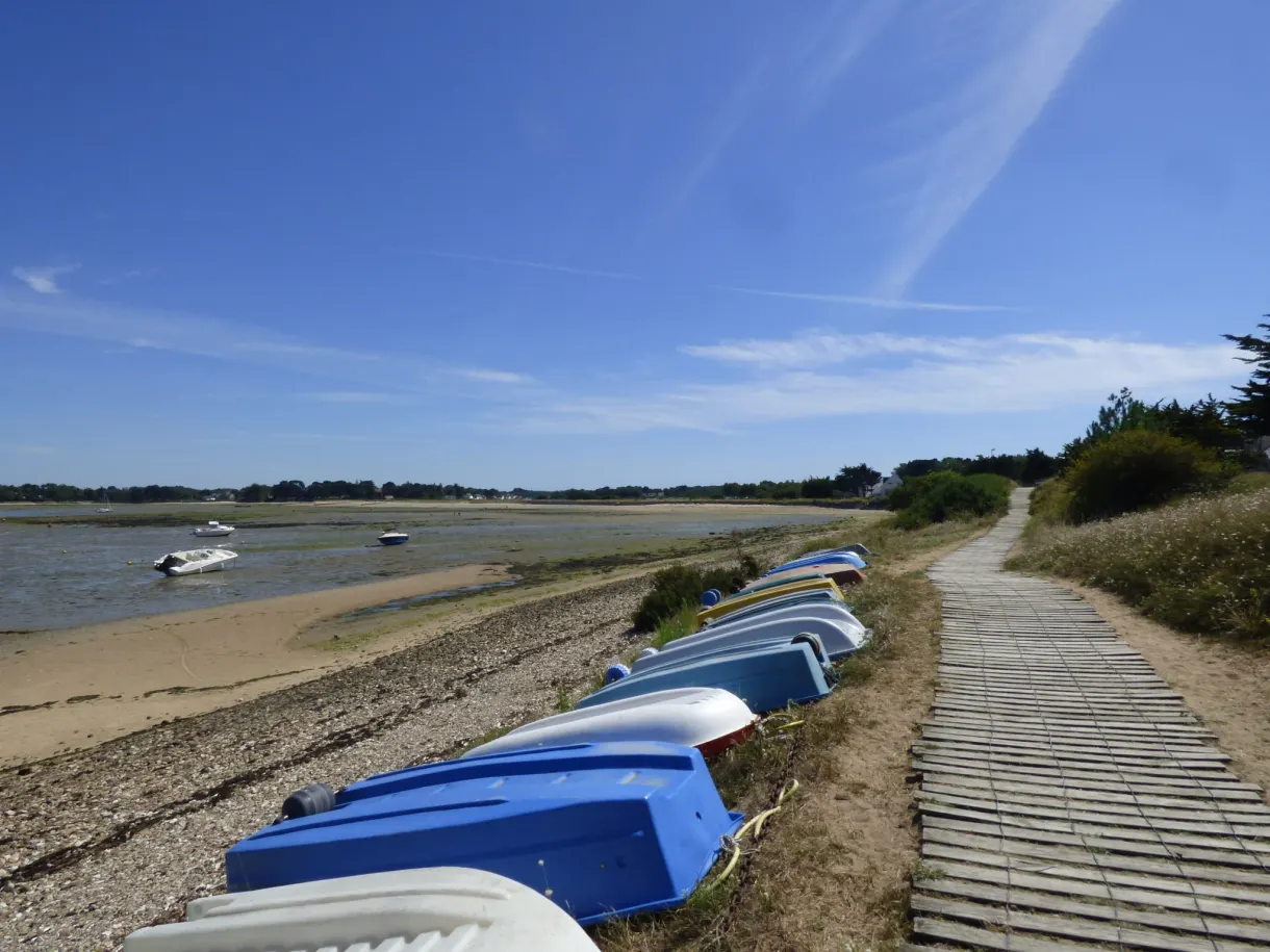 Blue boats lined up along a boardwalk path