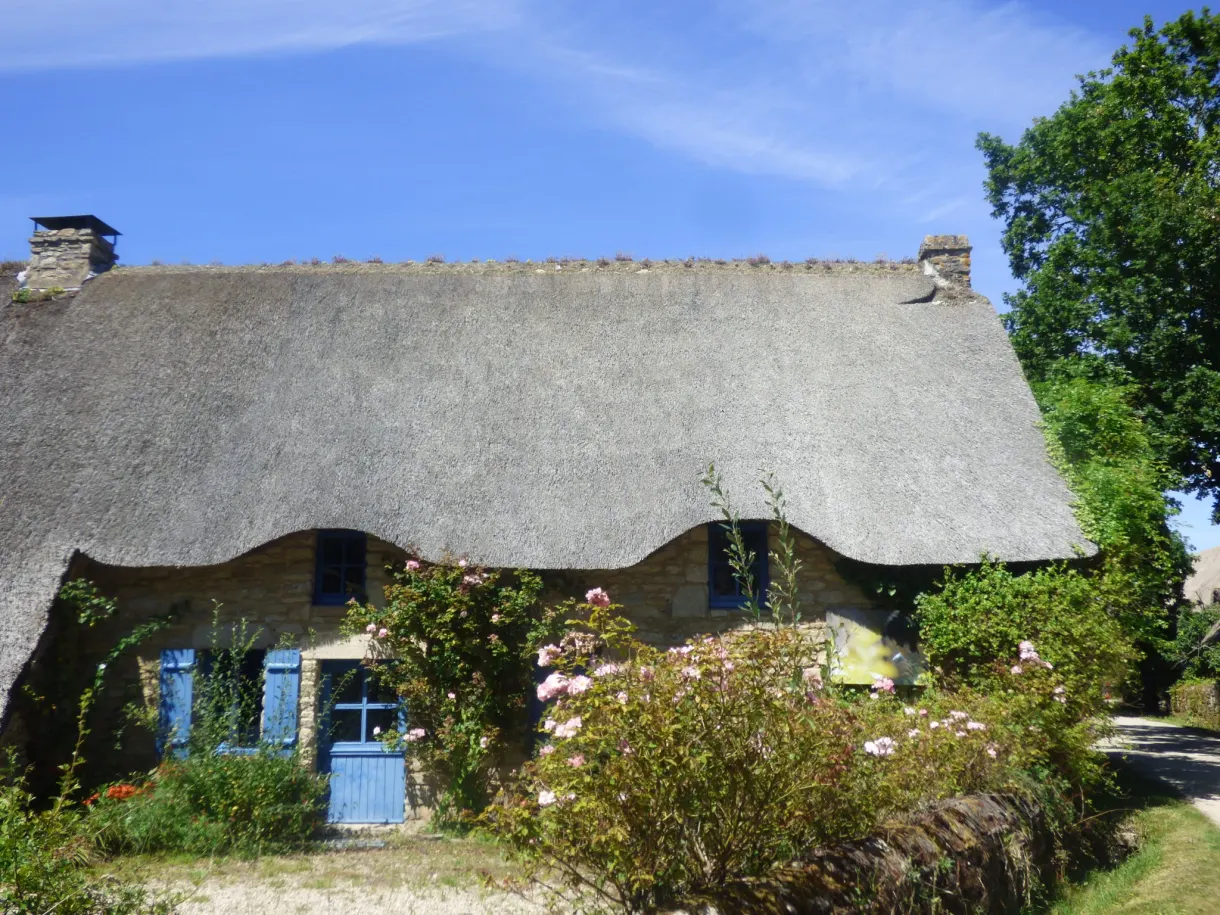 Thatched longhouse with blue shutters and rose bushes